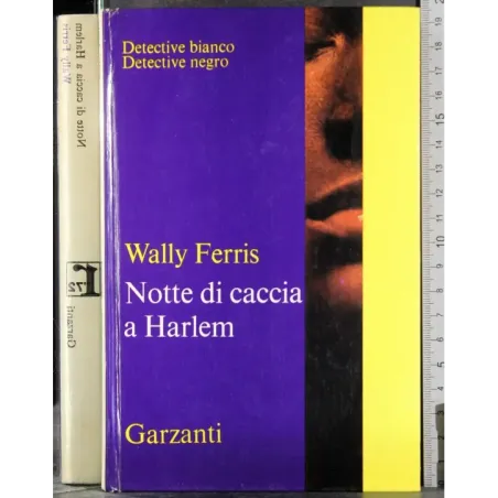 Notte di caccia a Harlem