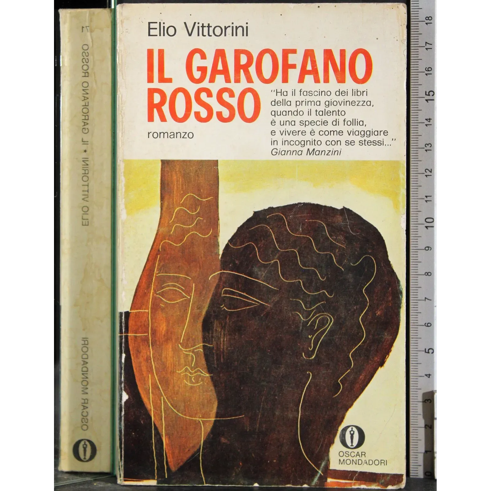 Il garofano rosso