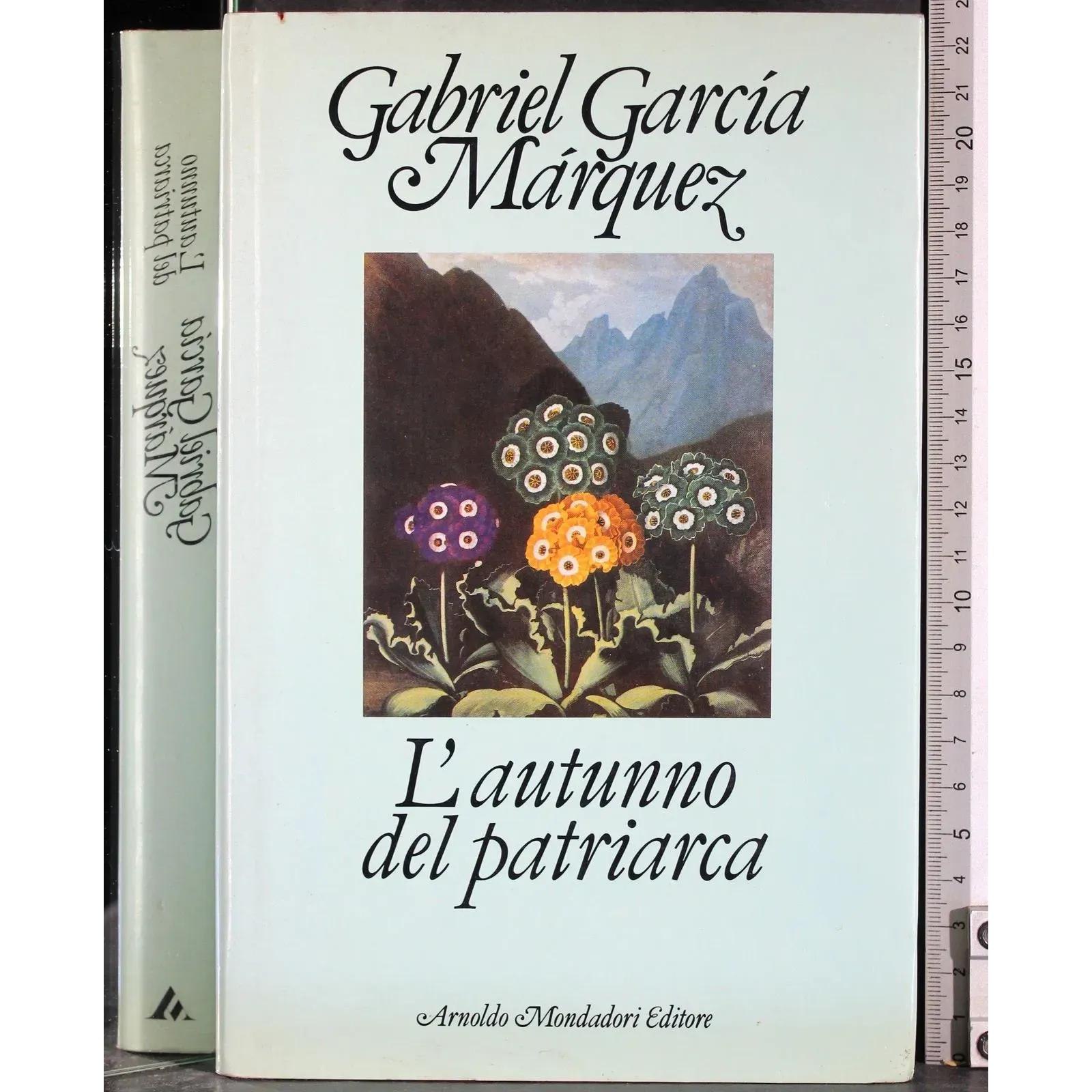 L'autunno del patriarca