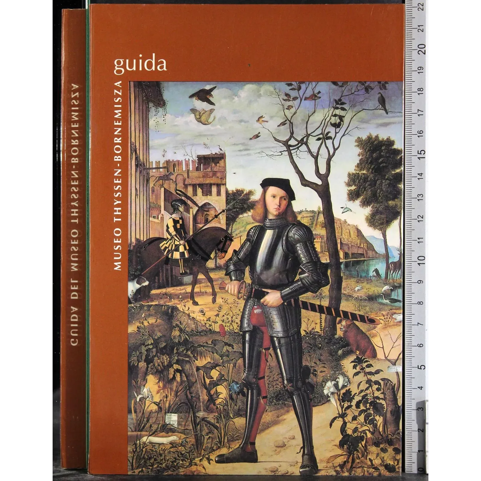 Guida del museo Thyssen - Bornemisza