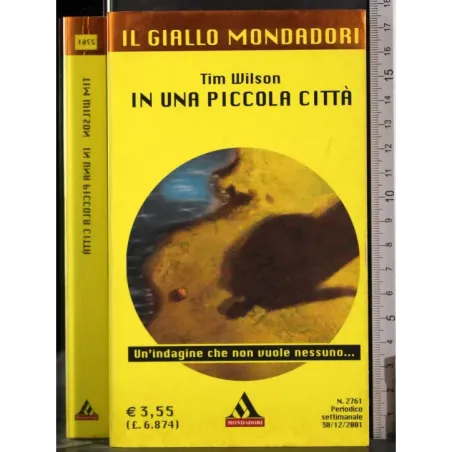 In una piccola città