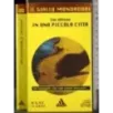 In una piccola città