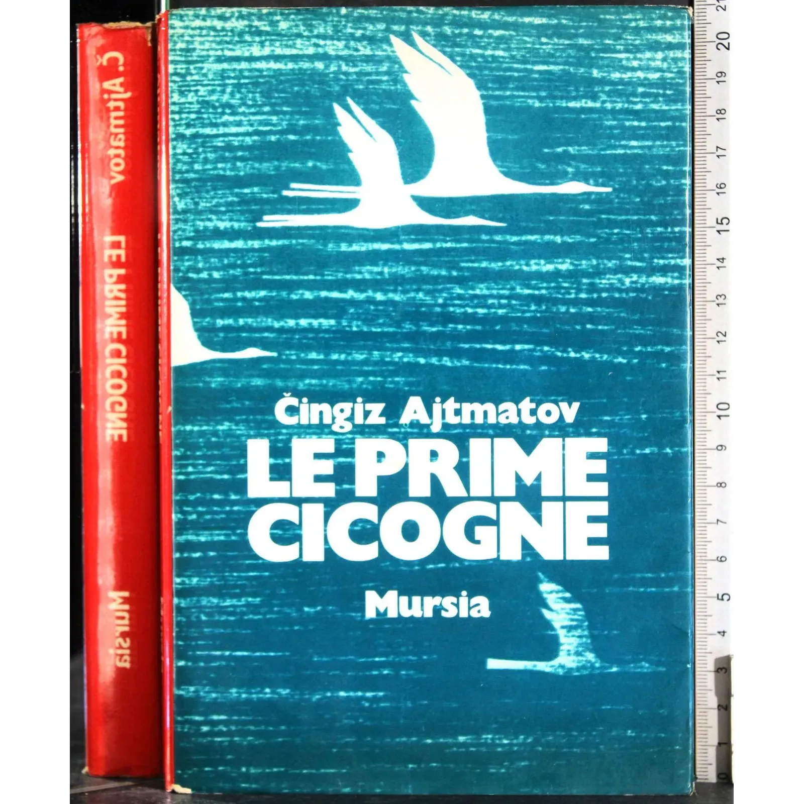 Le prime cicogne