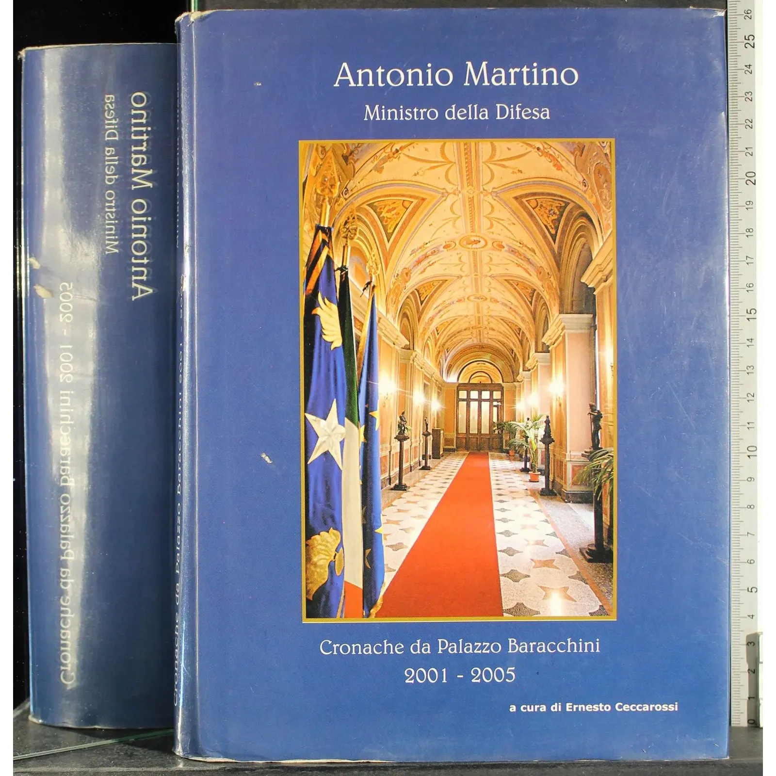 Cronache da Palazzo Baracchini 2001-2005