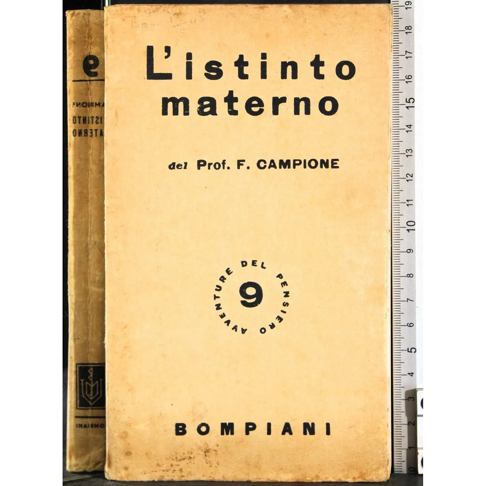 L'istinto materno