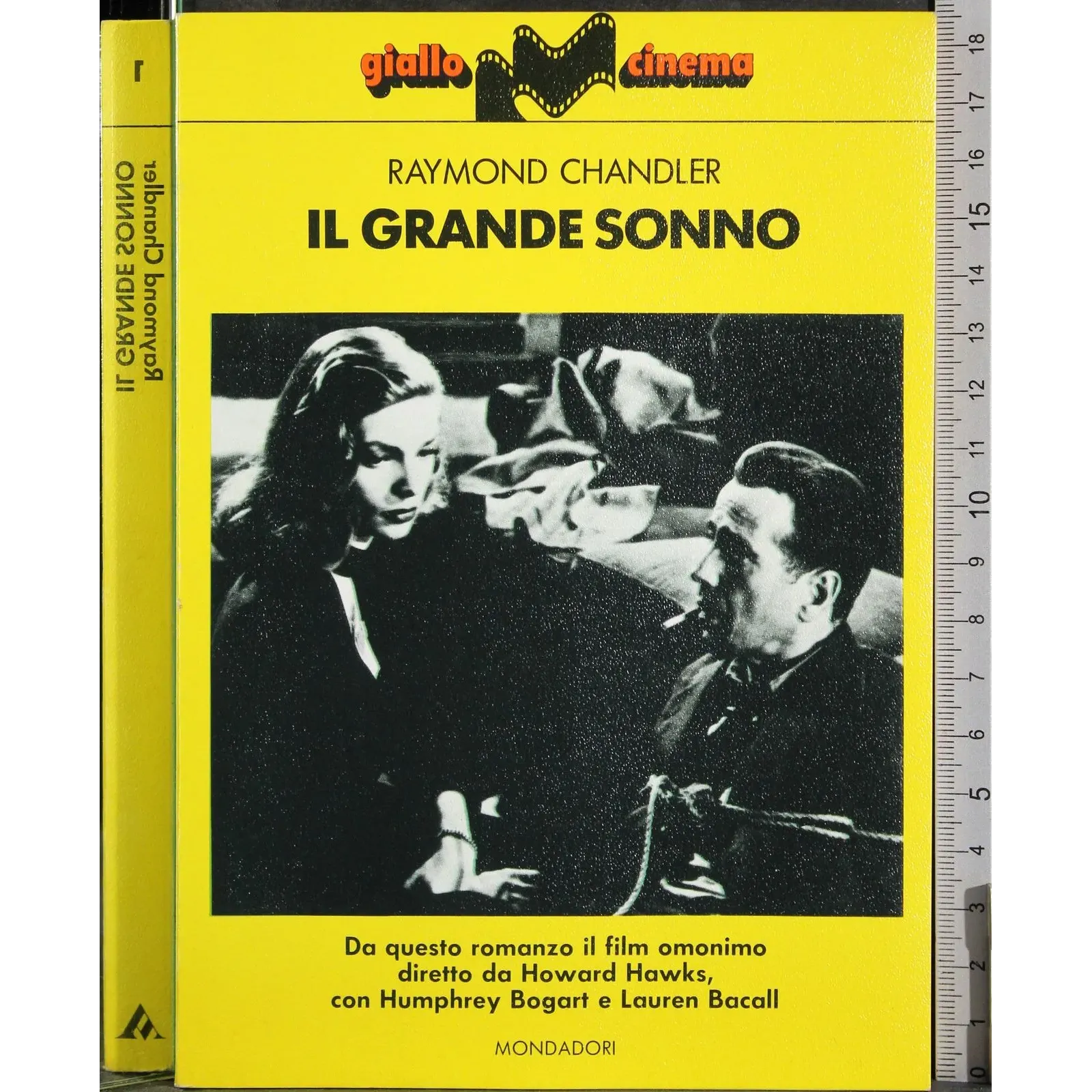 Il grande sonno
