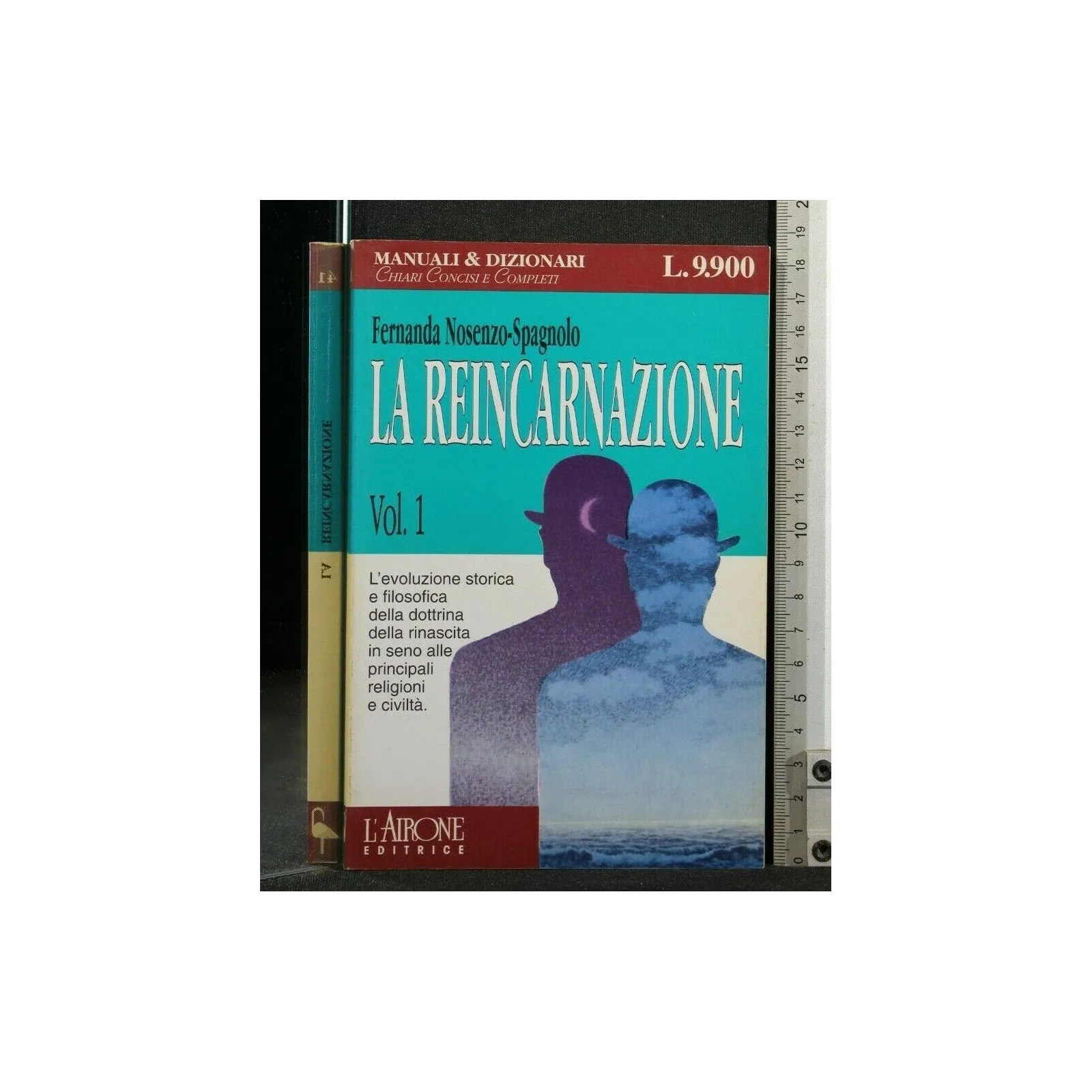 LA REINCARNAZIONE VOL 1