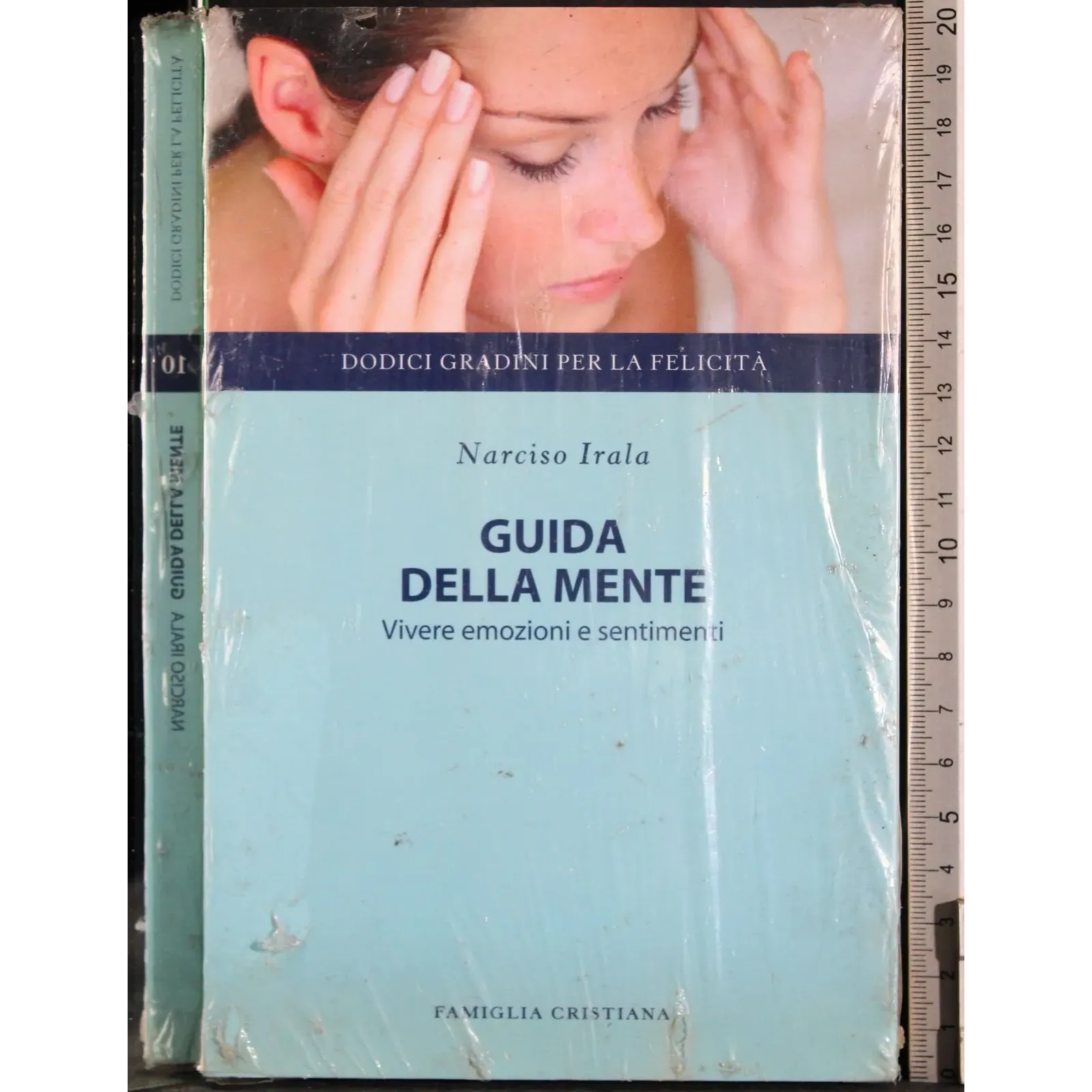 Guida della mente