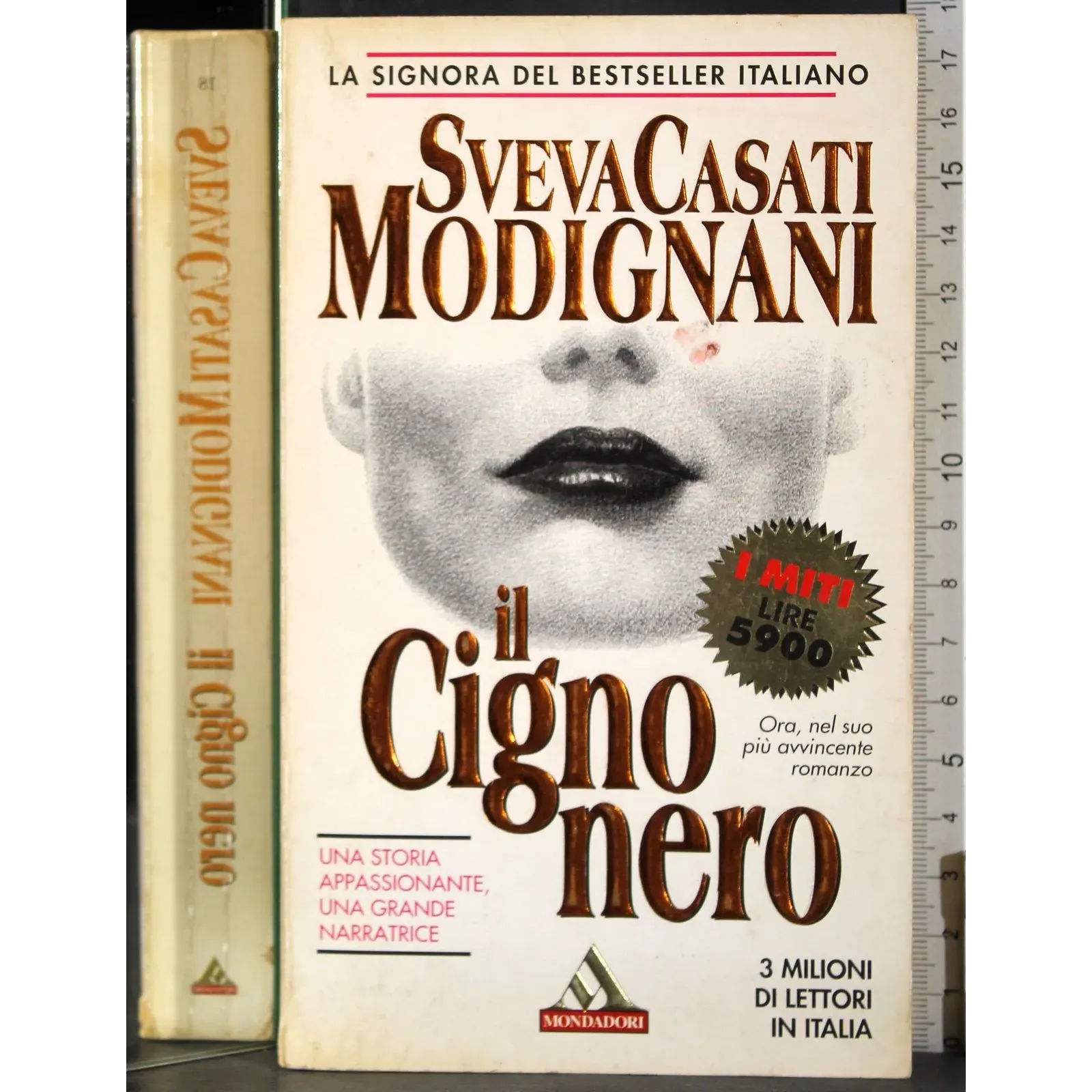 Il cigno nero