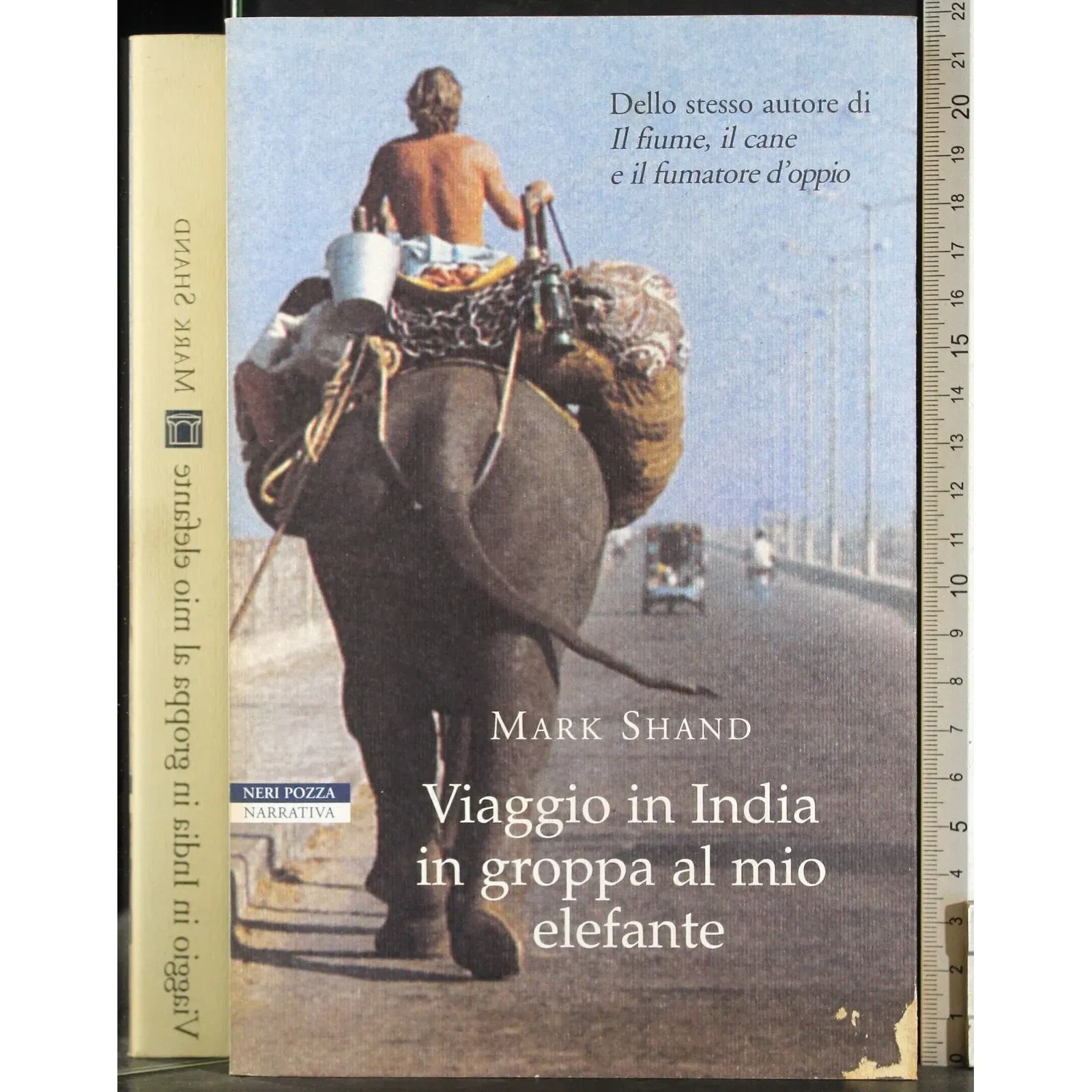 Viaggio in India in groppa al mio elefante