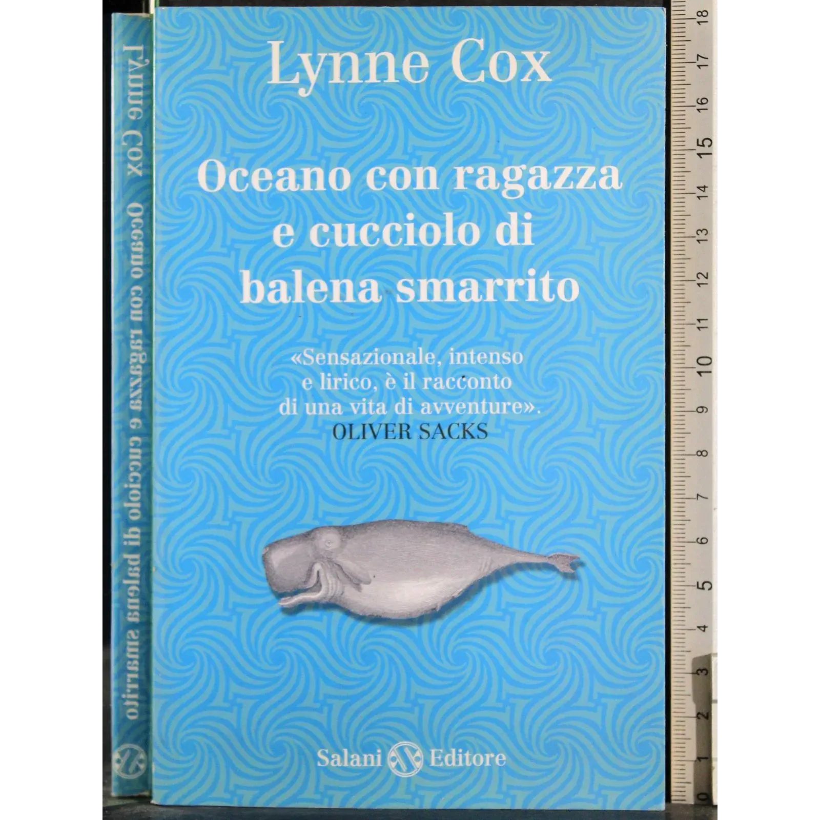 Oceano con ragazza e cucciolo balena smarrito