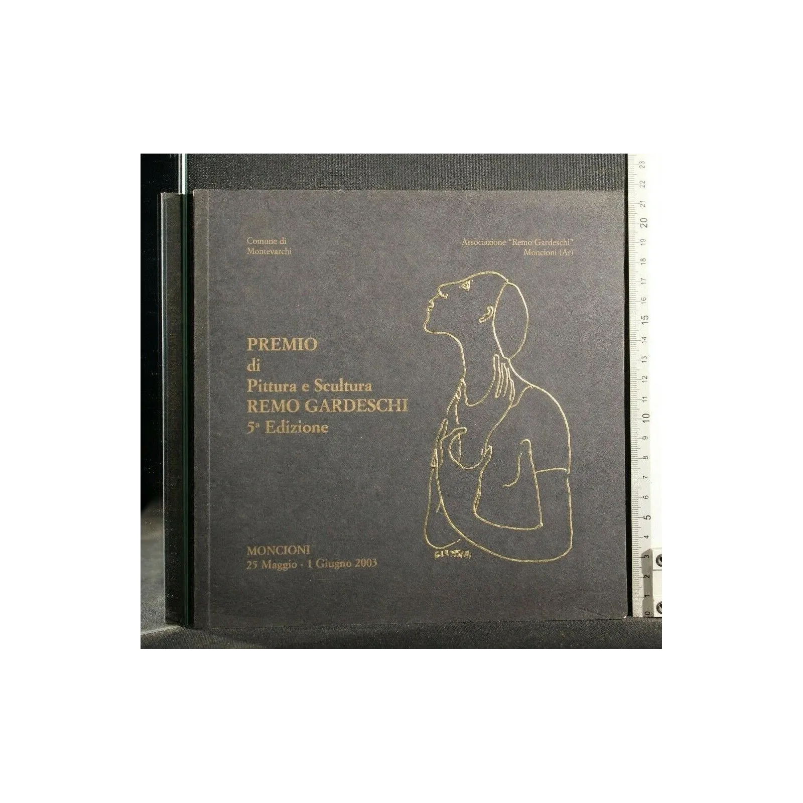 PREMIO DI PITTURA E SCULTURA REMO GARDESCHI 5 EDIZIONE MONCIONI