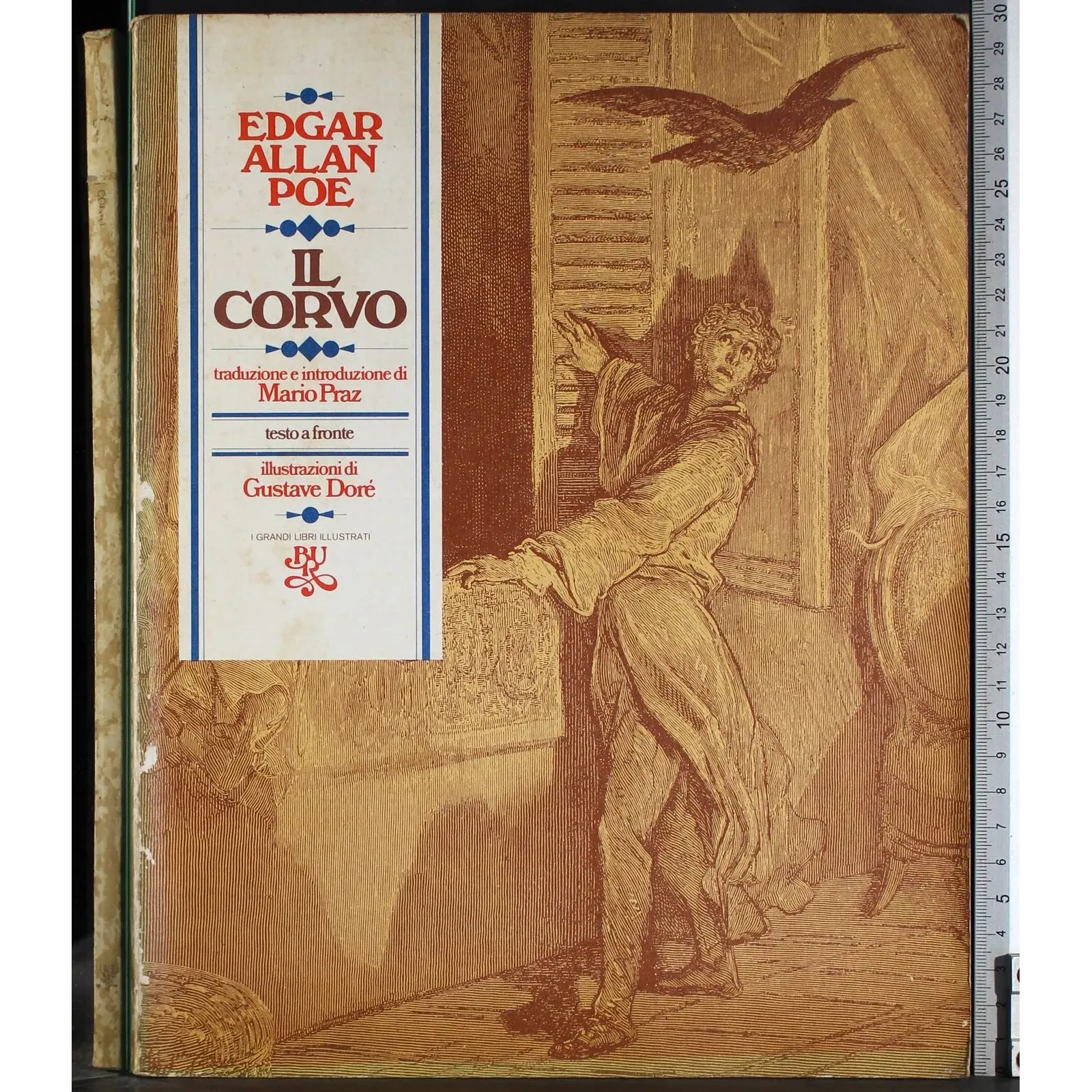Il corvo