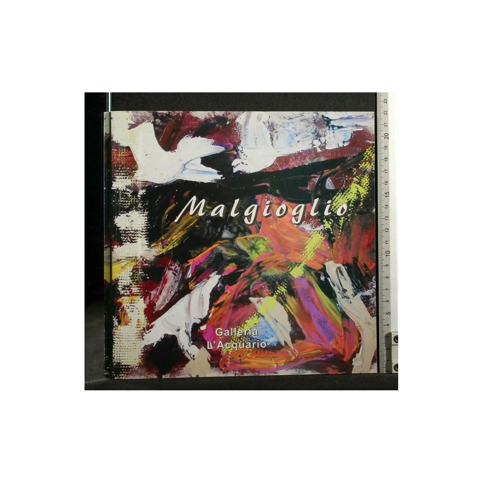 MALGIOGLIO LA TERRA DEI SEGNI LIBRO + CD