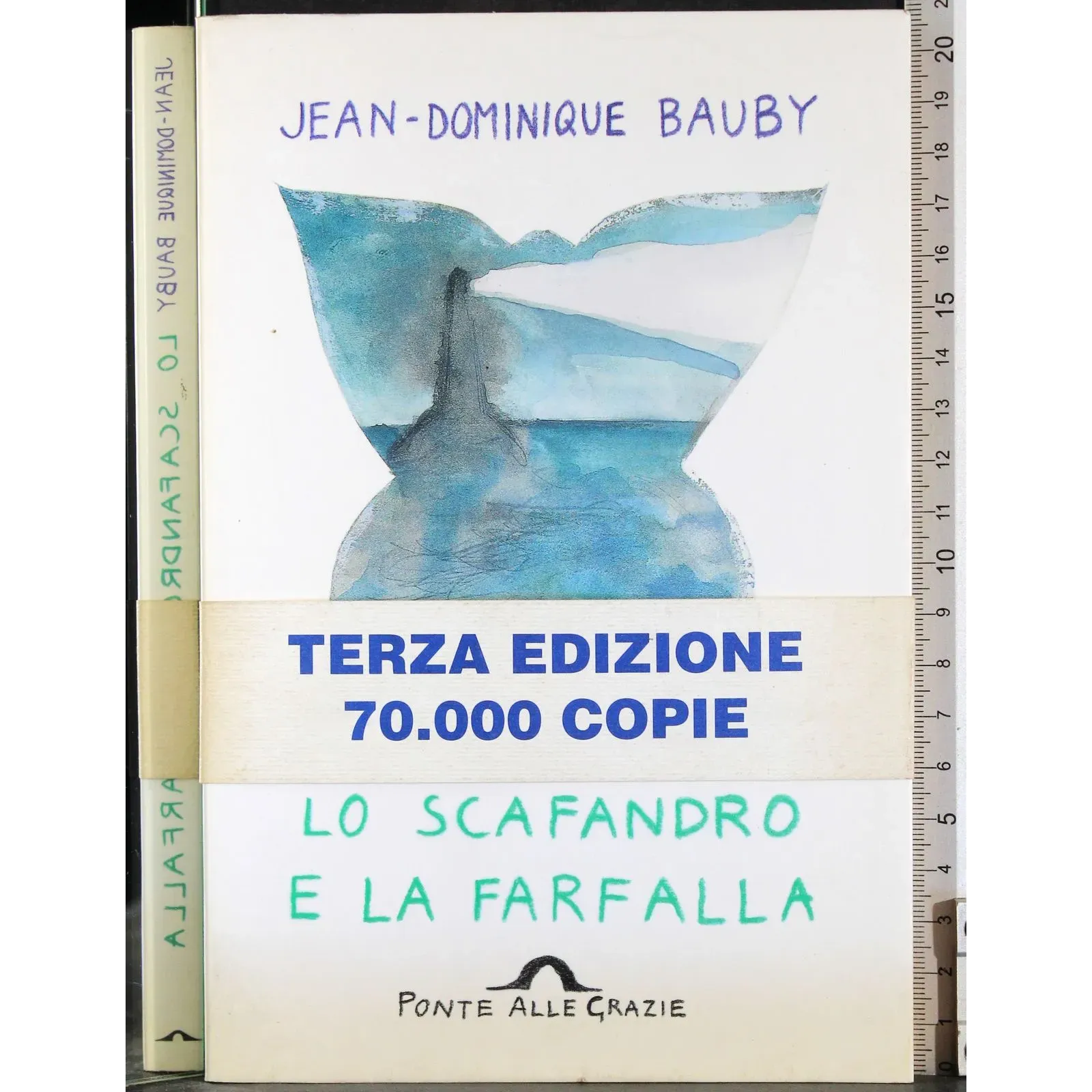 Lo scafandro e la farfalla