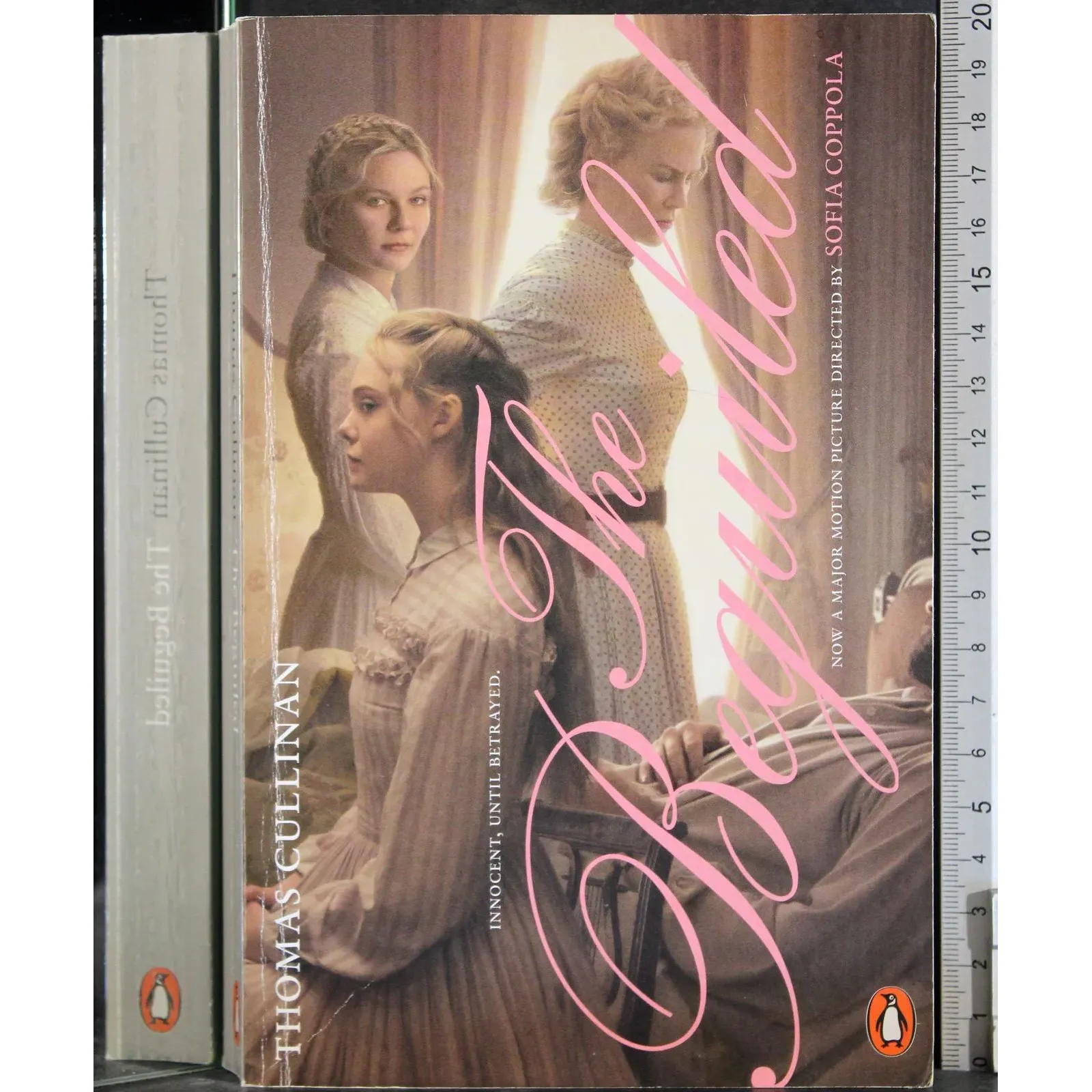 The beguiled