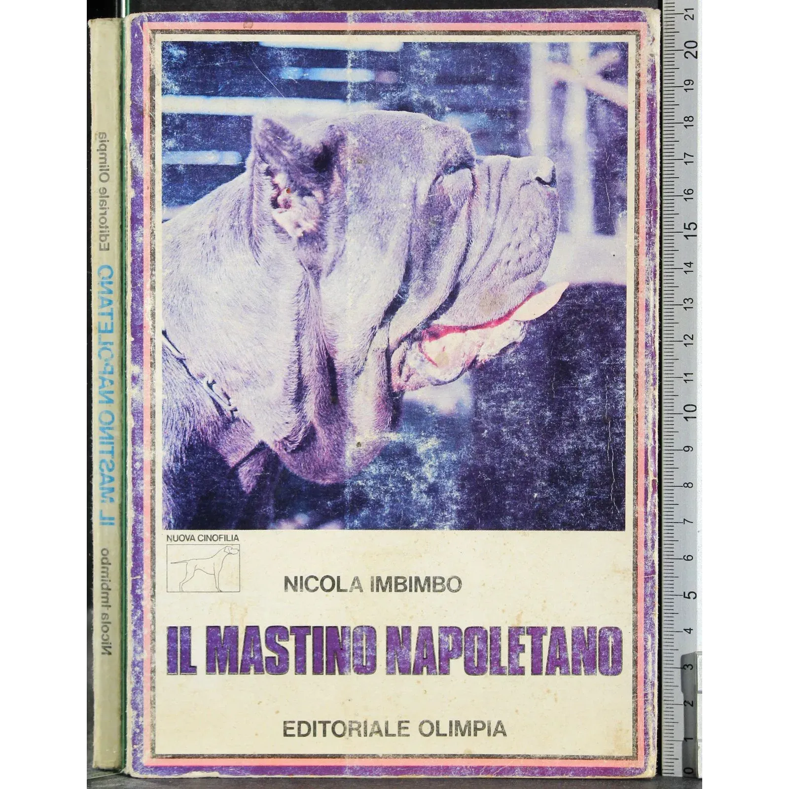 Il mastino napoletano
