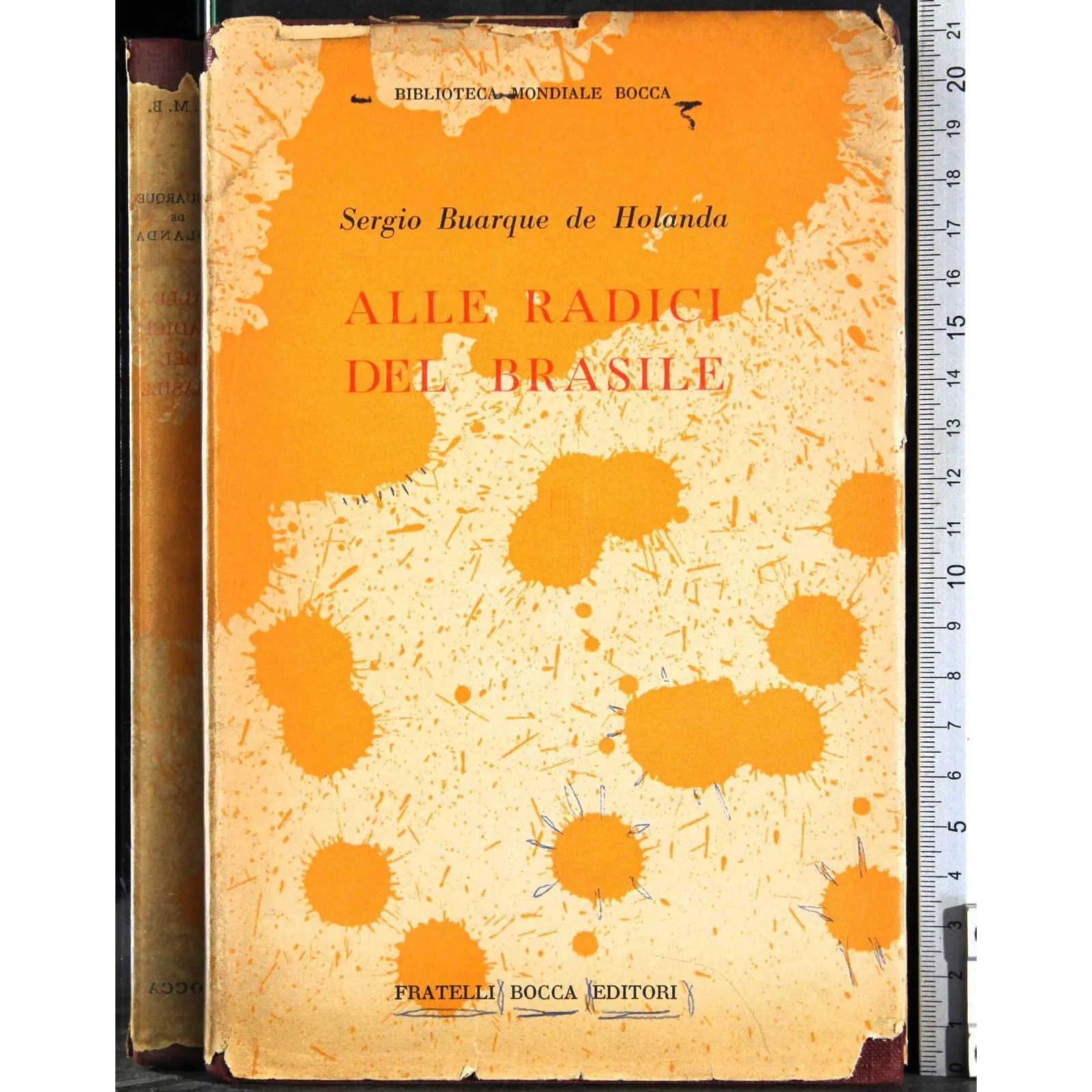 Alle radici del Brasile