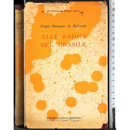 Alle radici del Brasile