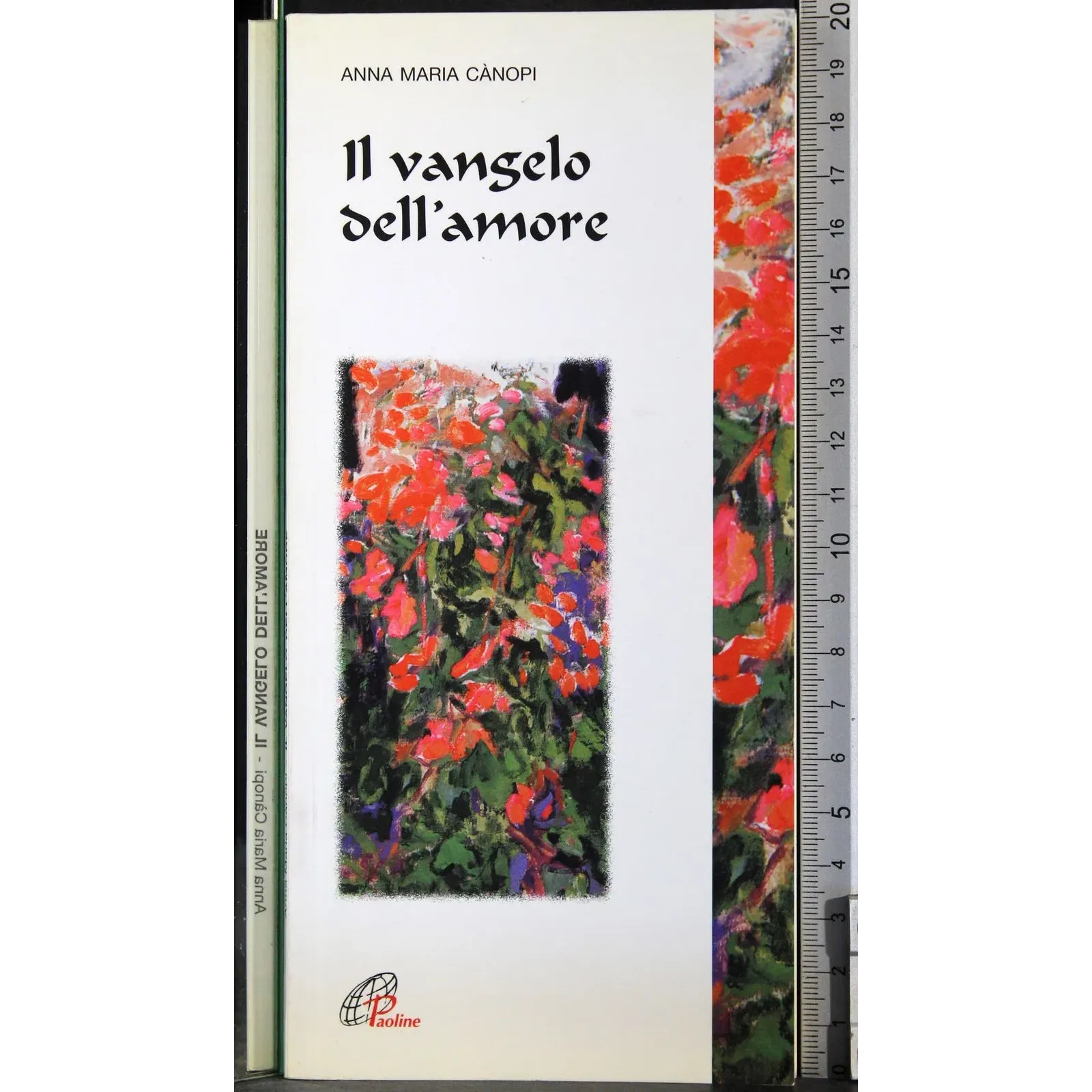 Il Vangelo dell'amore