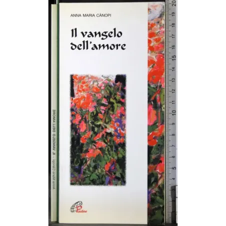 Il Vangelo dell'amore