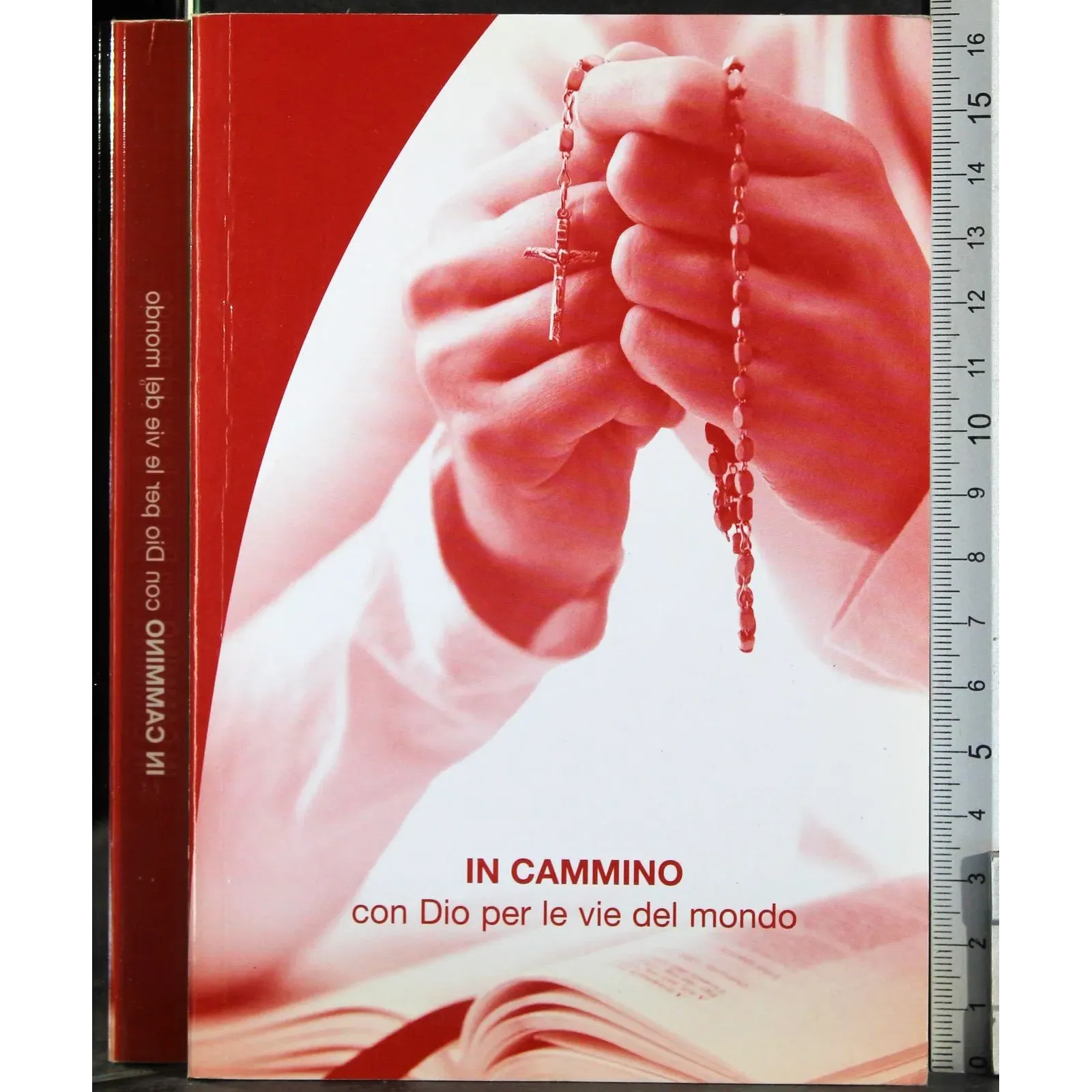 In cammino con Dio per le vie del mondo