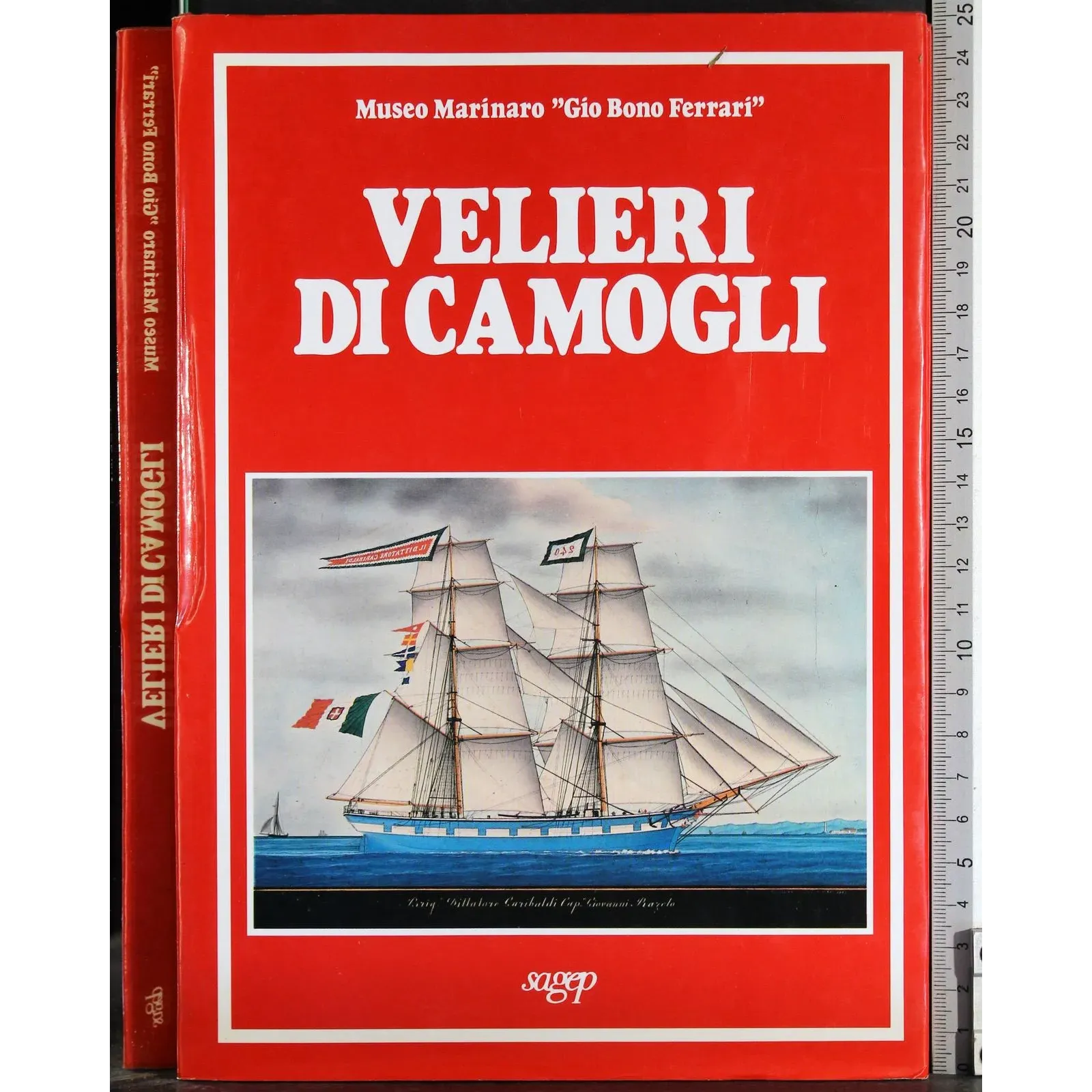 Velieri di camogli