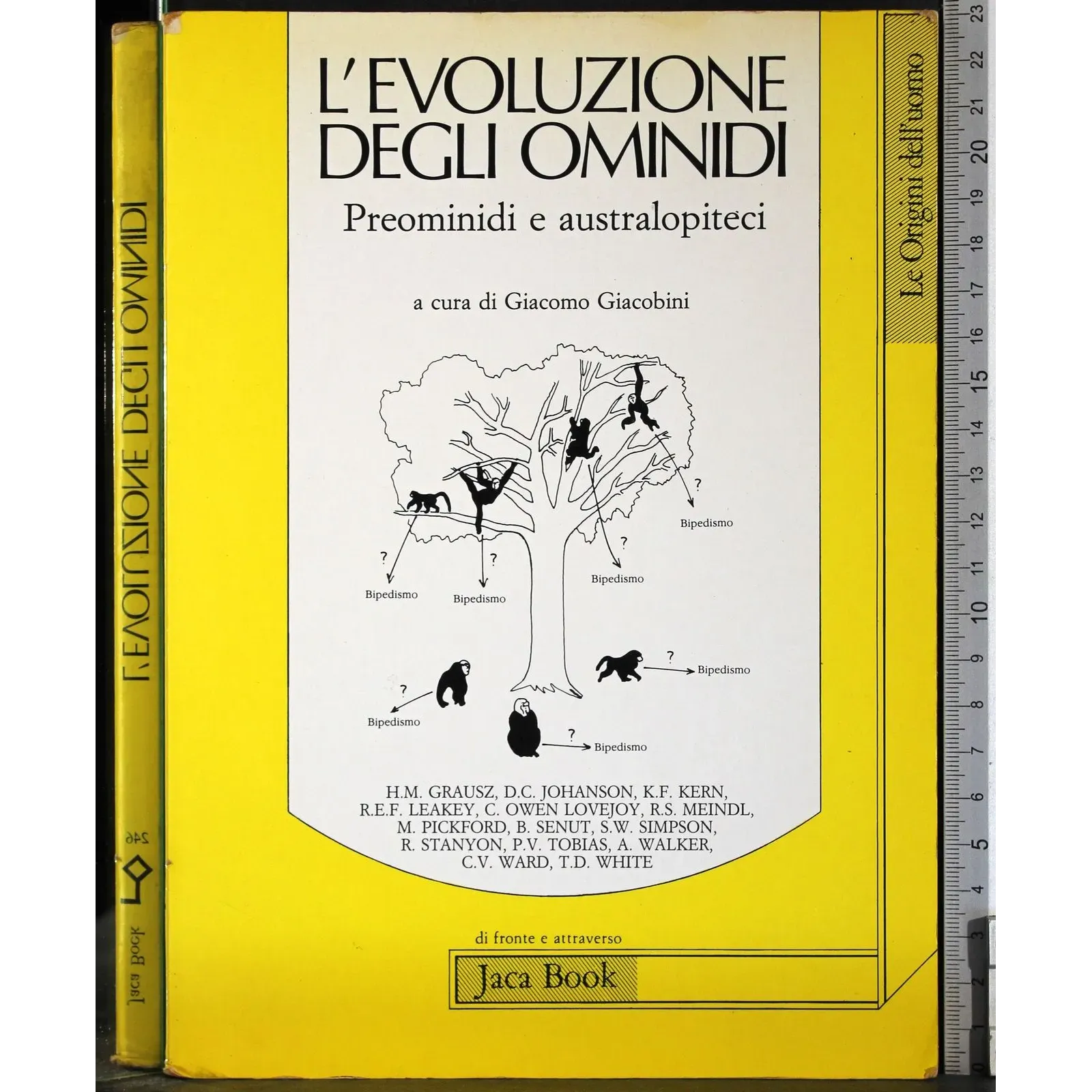 L'evoluzone degli omidi