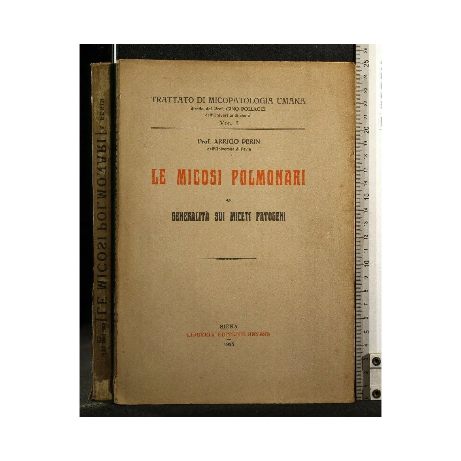 LE MICOSI POLMONARI E GENERALITA' SUI MICETI PATOGENI