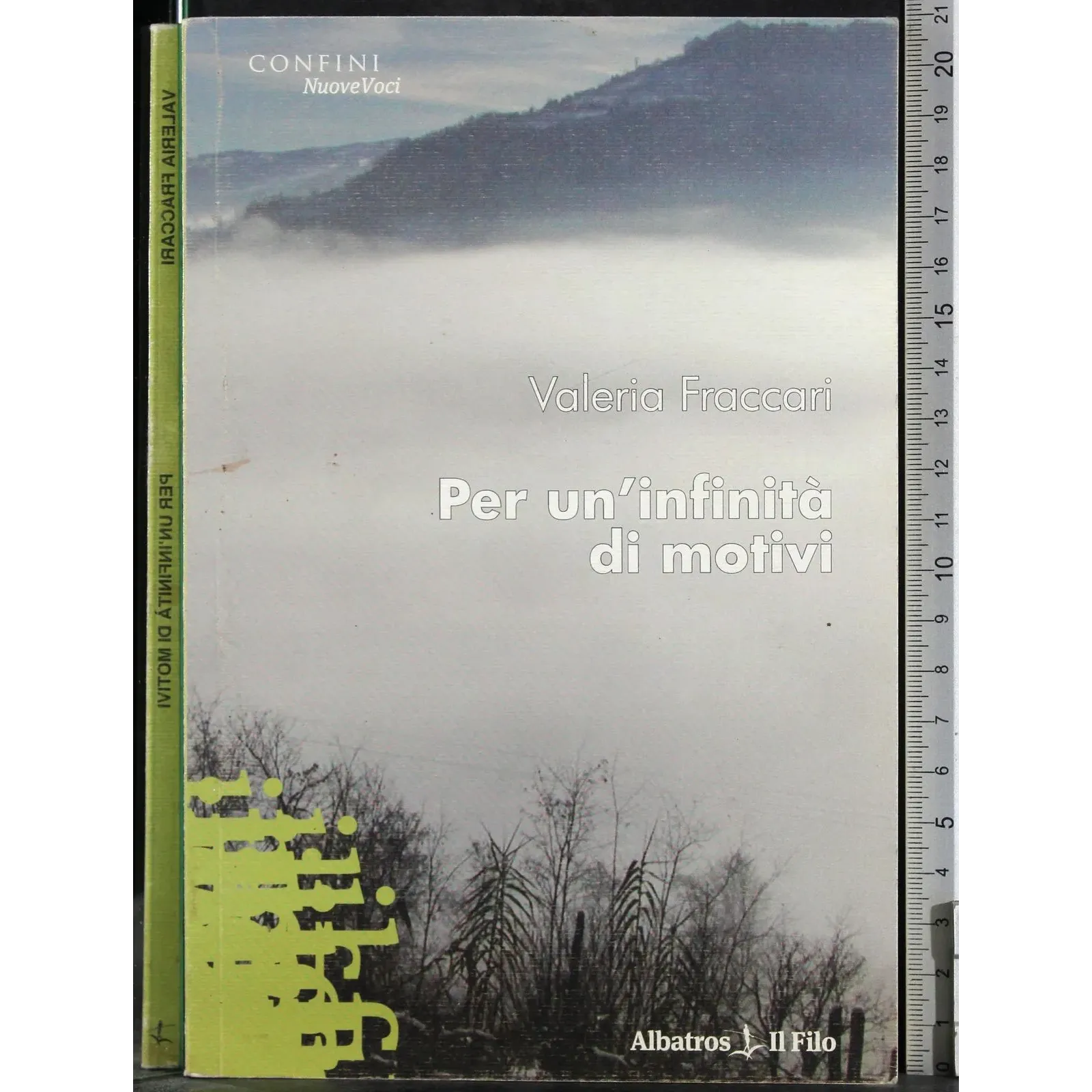 Per un'infinità di motoivi