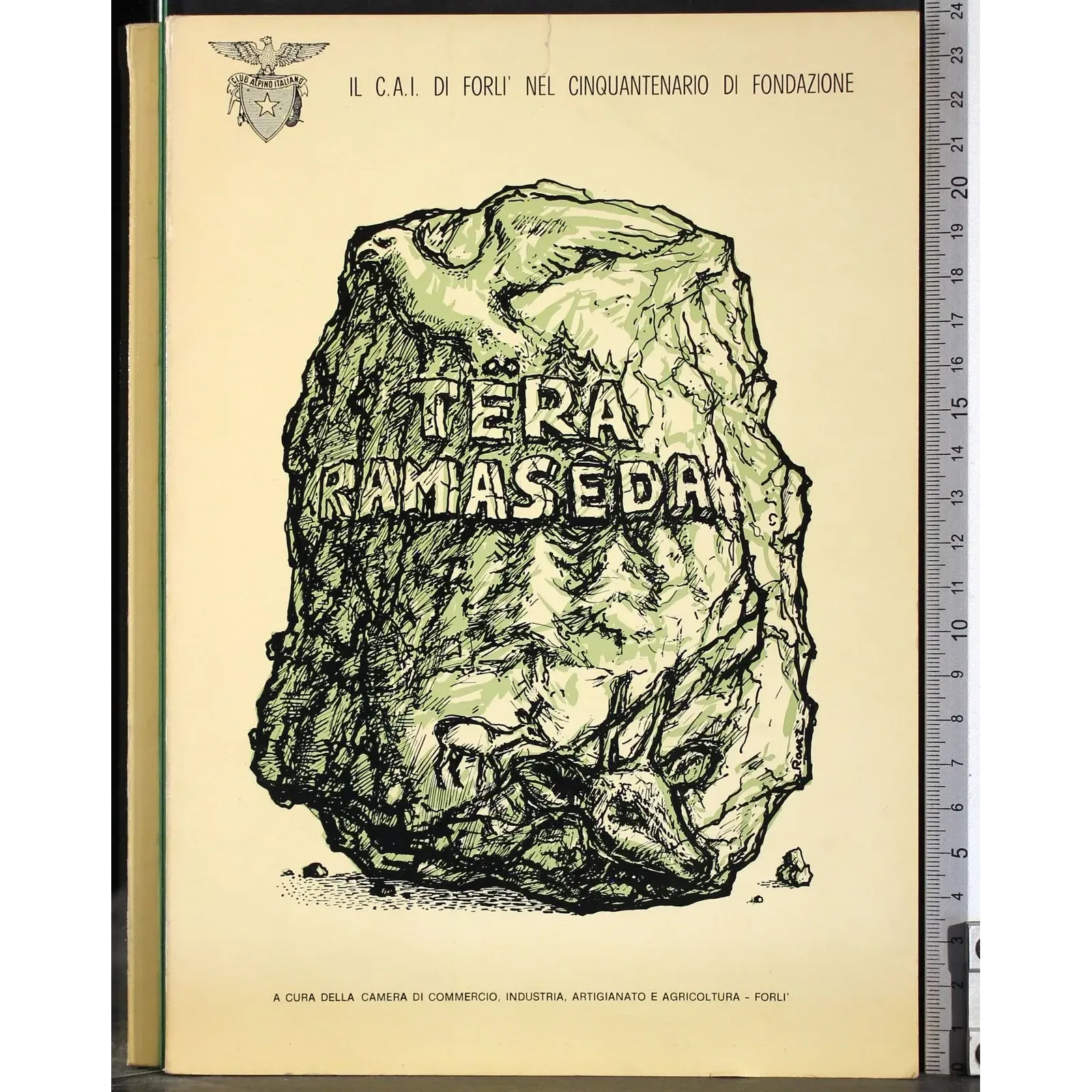 Tera ramaseda