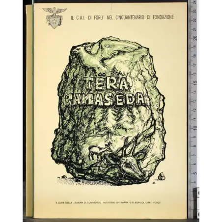 Tera ramaseda