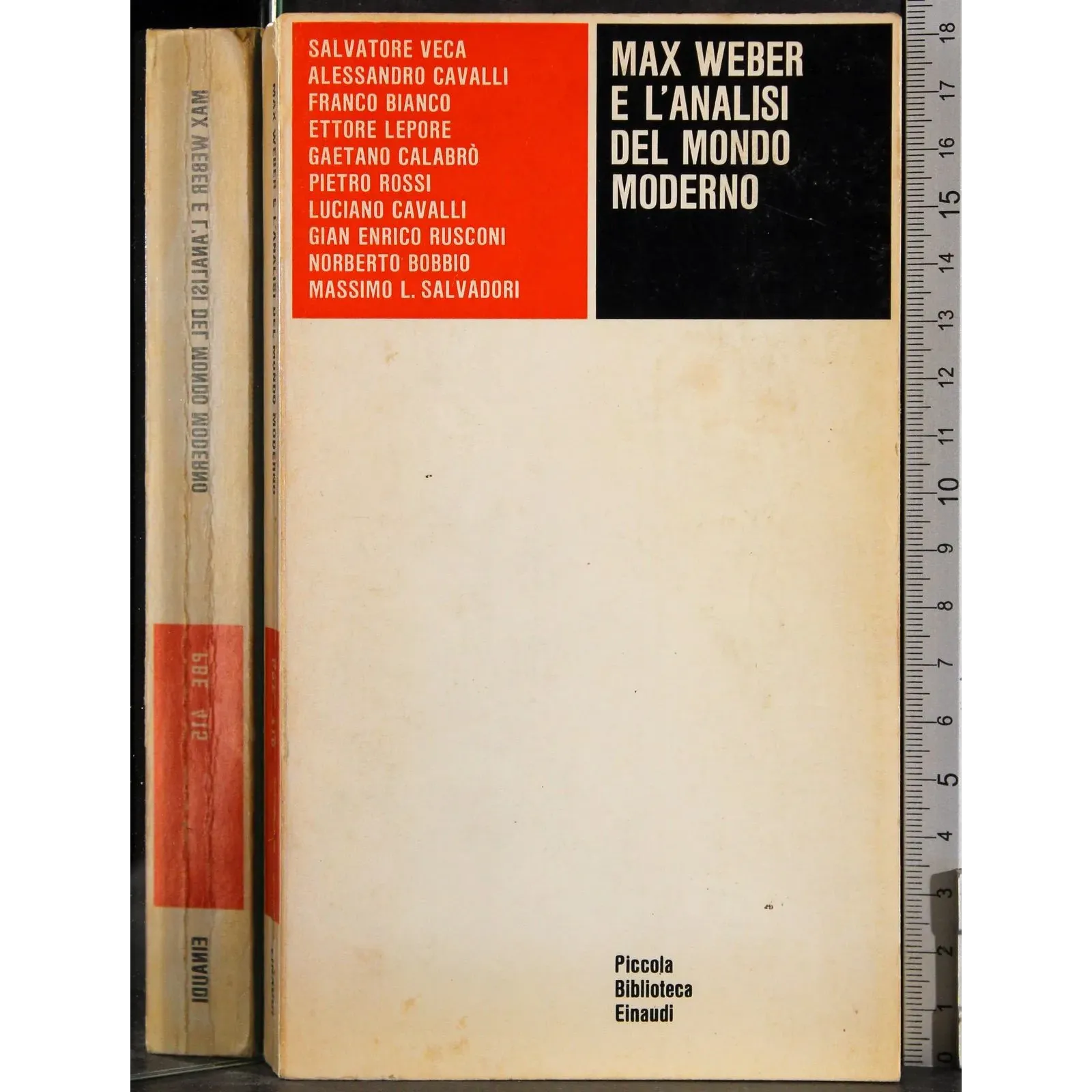 Max Weber e l'analisi del mondo moderno