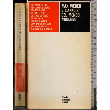 Max Weber e l'analisi del mondo moderno