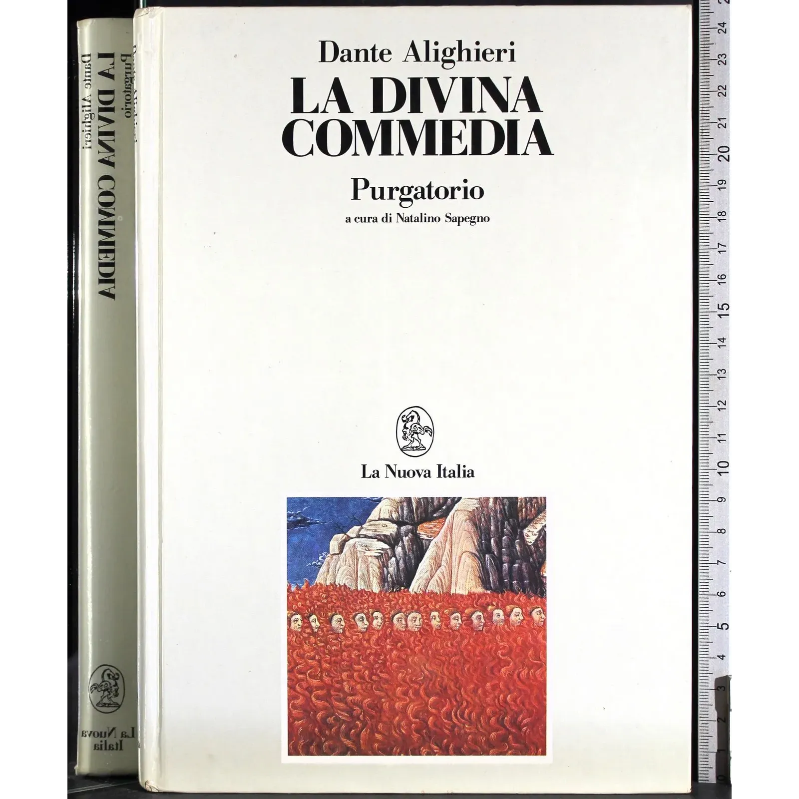 La Divina Commedia. Purgatorio