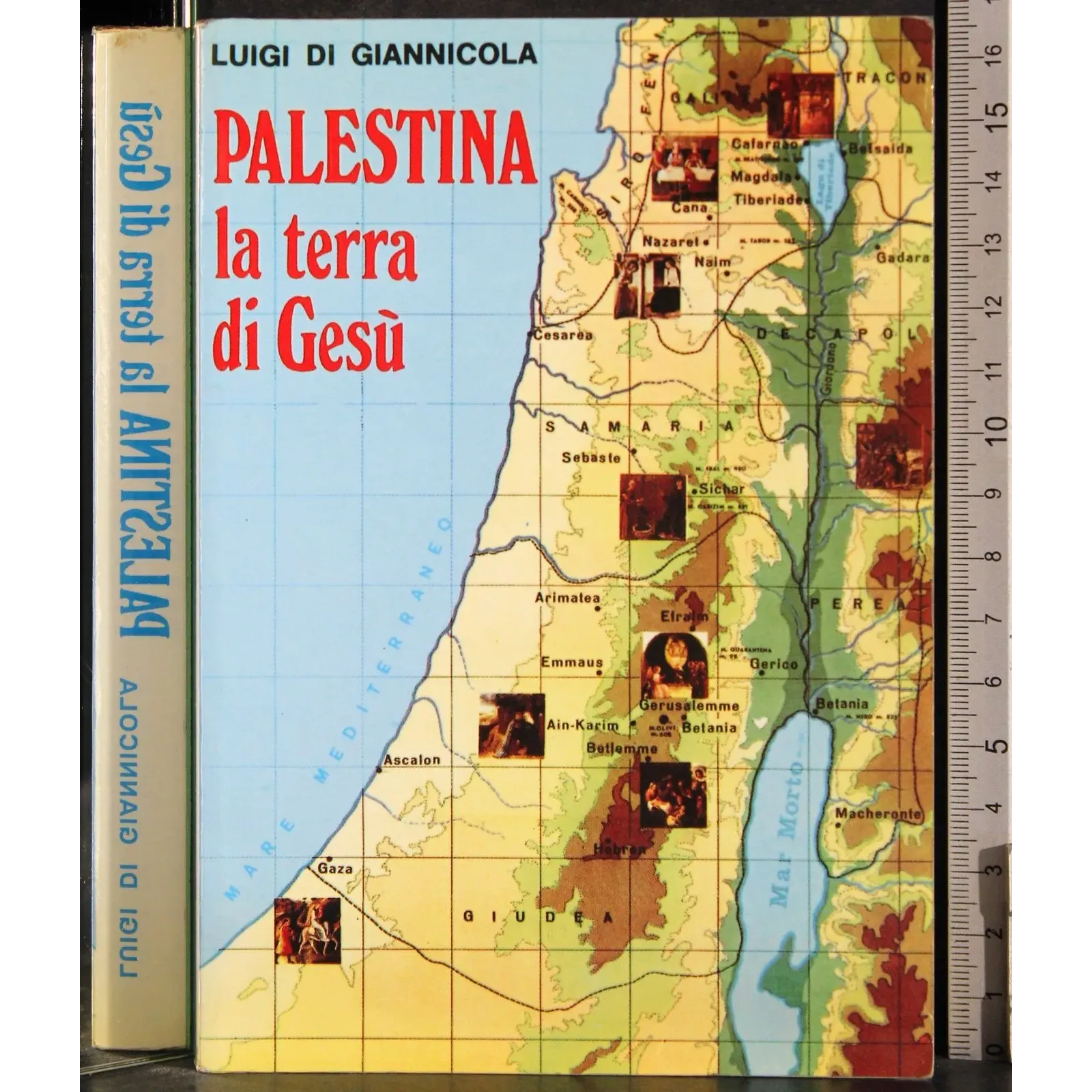 Palestina terra di Gesù