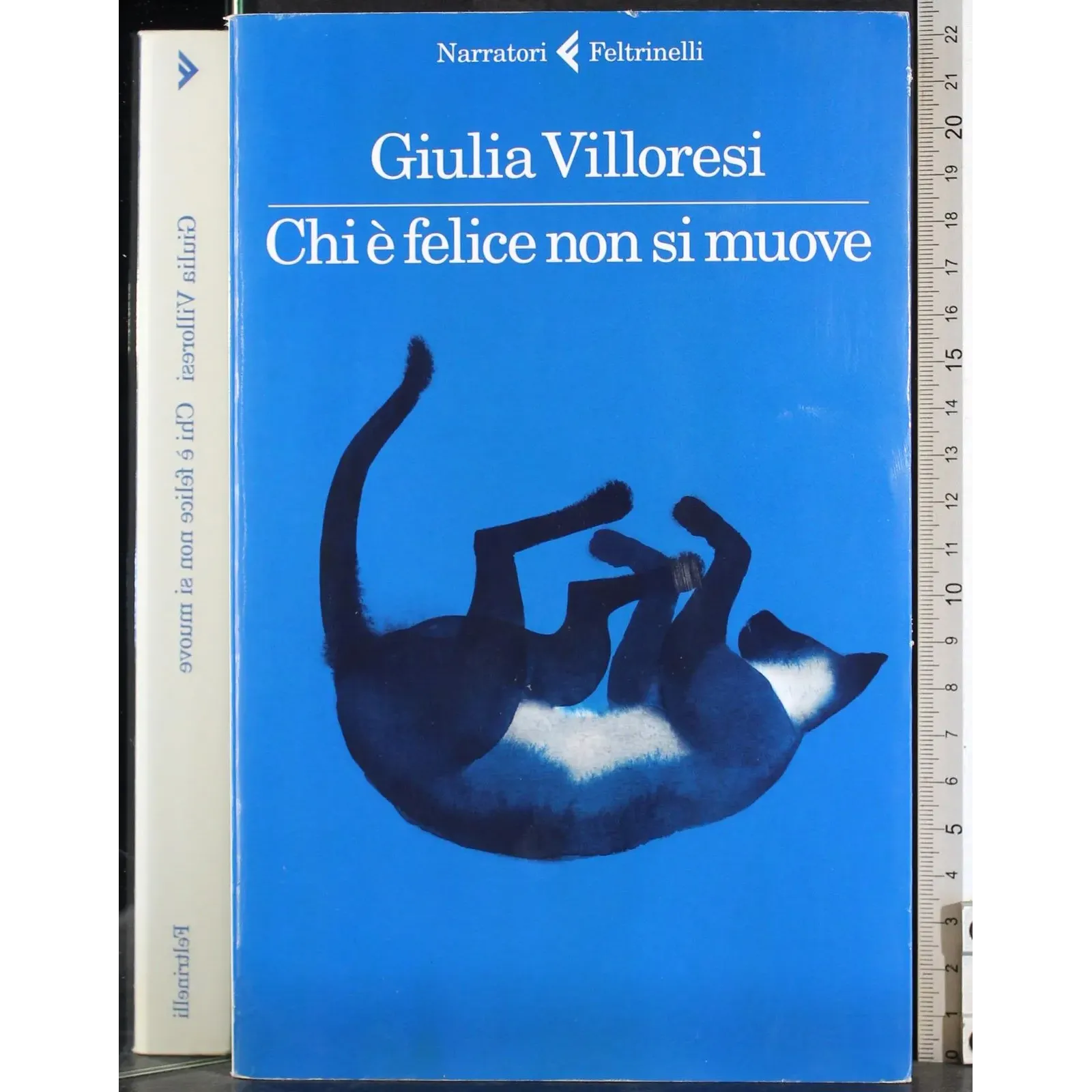 Chi è felice non si muove