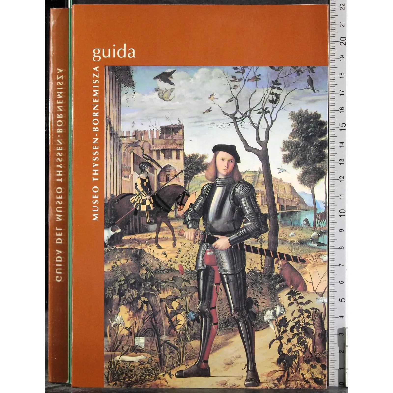 Guida del Museo Thyssen Bornemisza