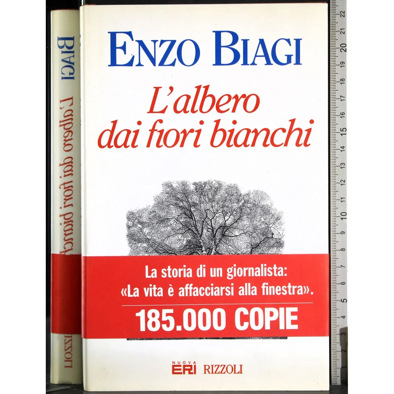 L'albero dai fiori bianchi