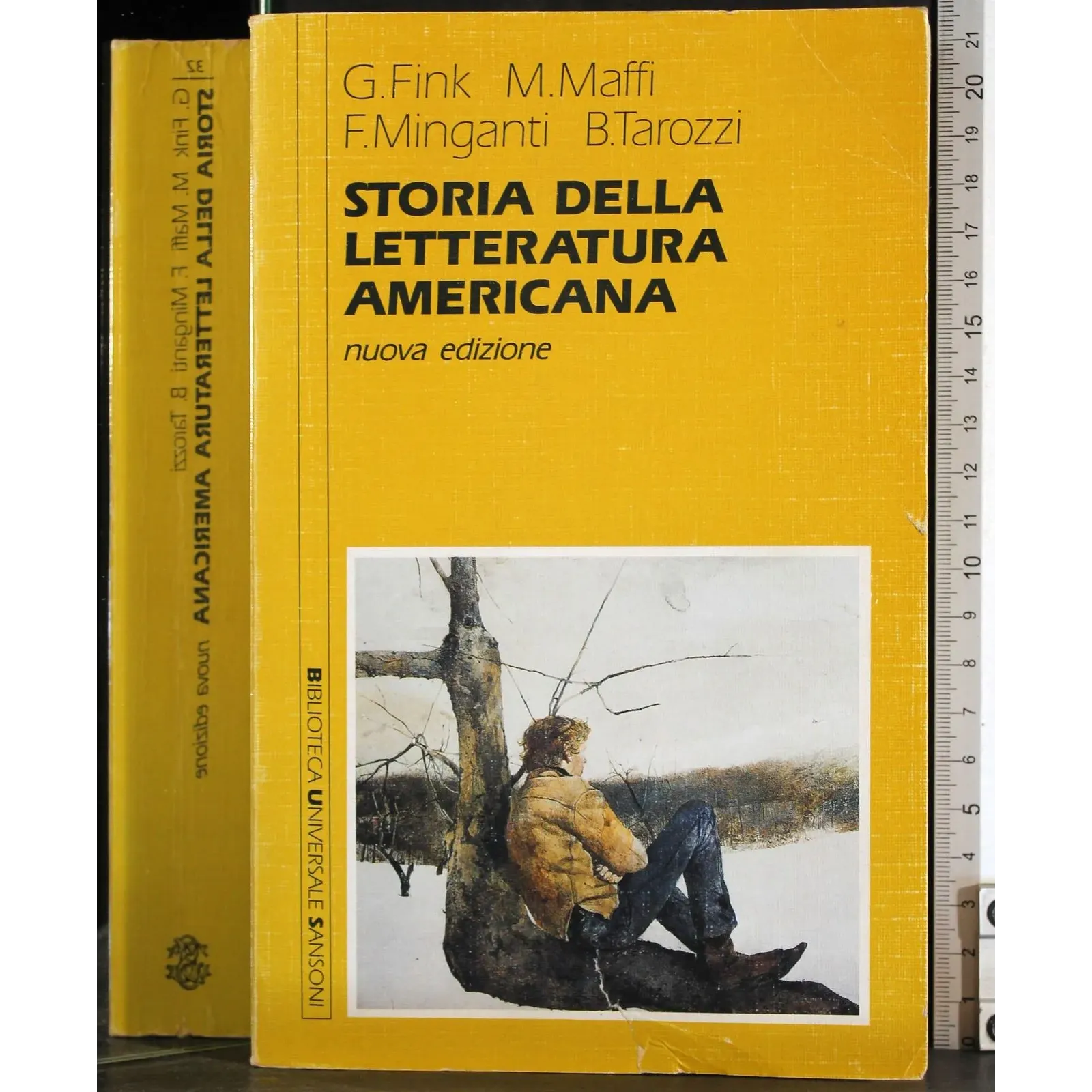 Storia della letteratura americana