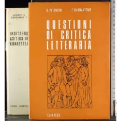 Questioni di critica letteraria