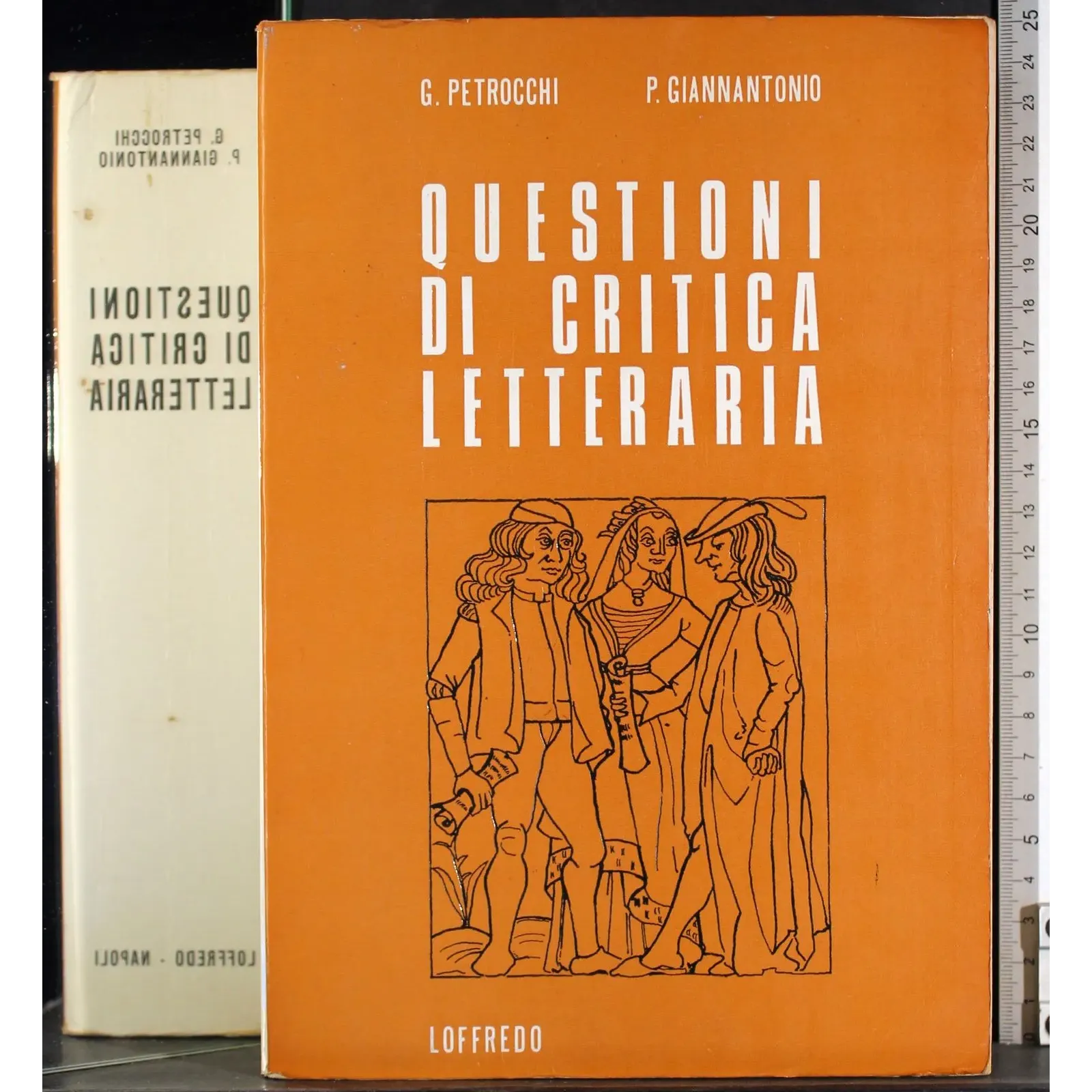 Questioni di critica letteraria