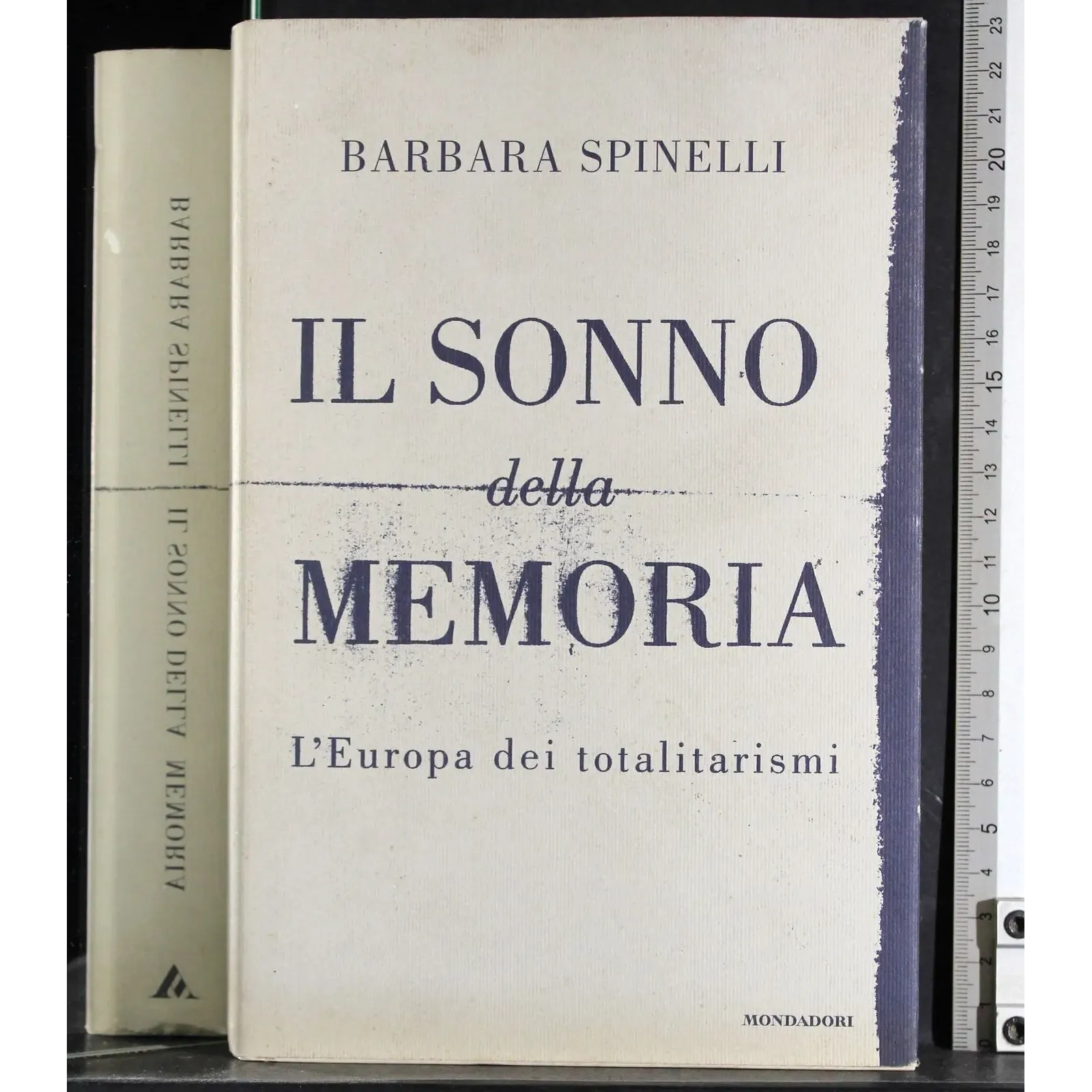 Il sonno della memoria