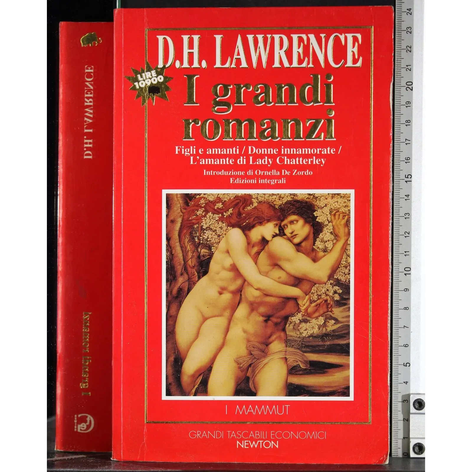 I grandi romanzi
