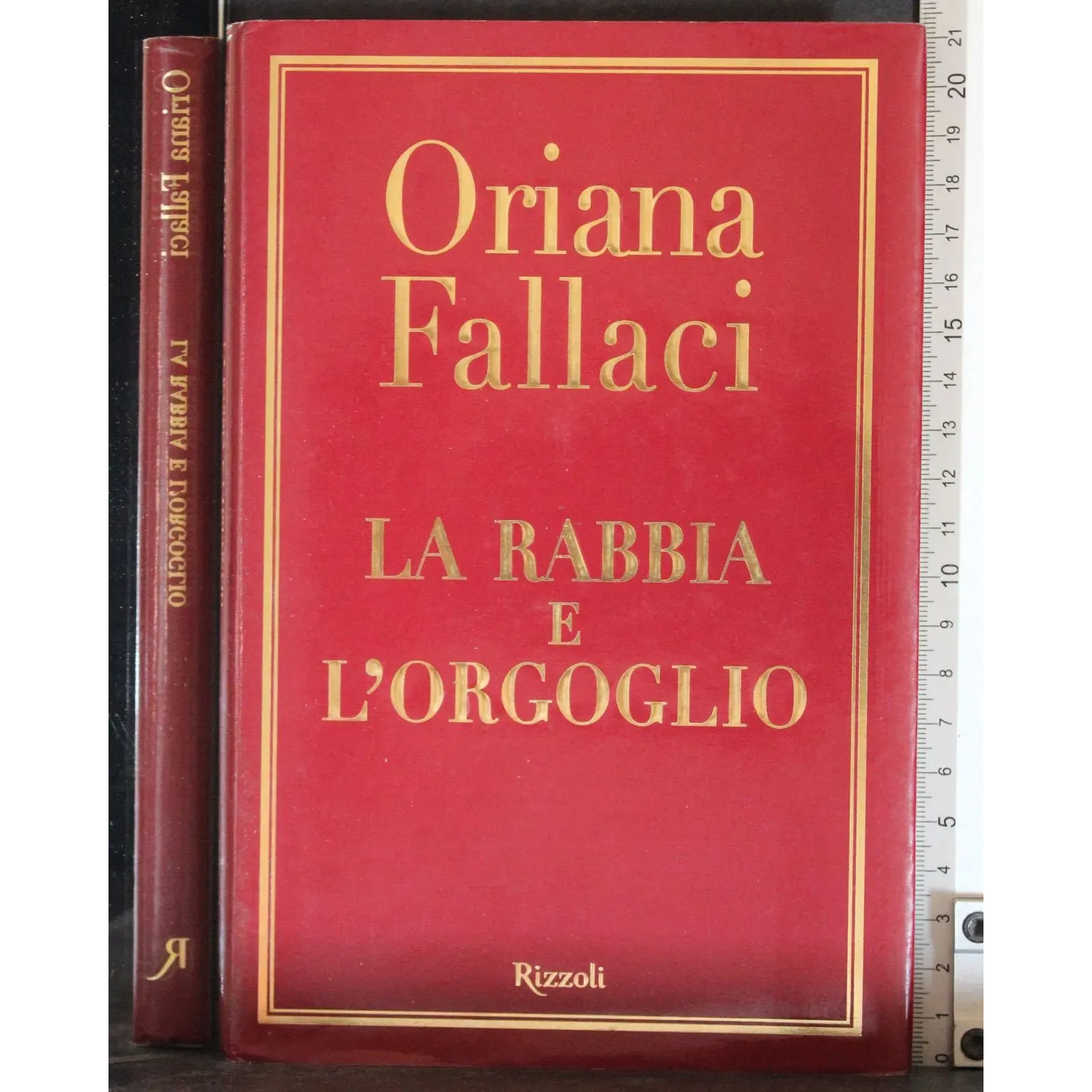 La rabbia e l'orgoglio