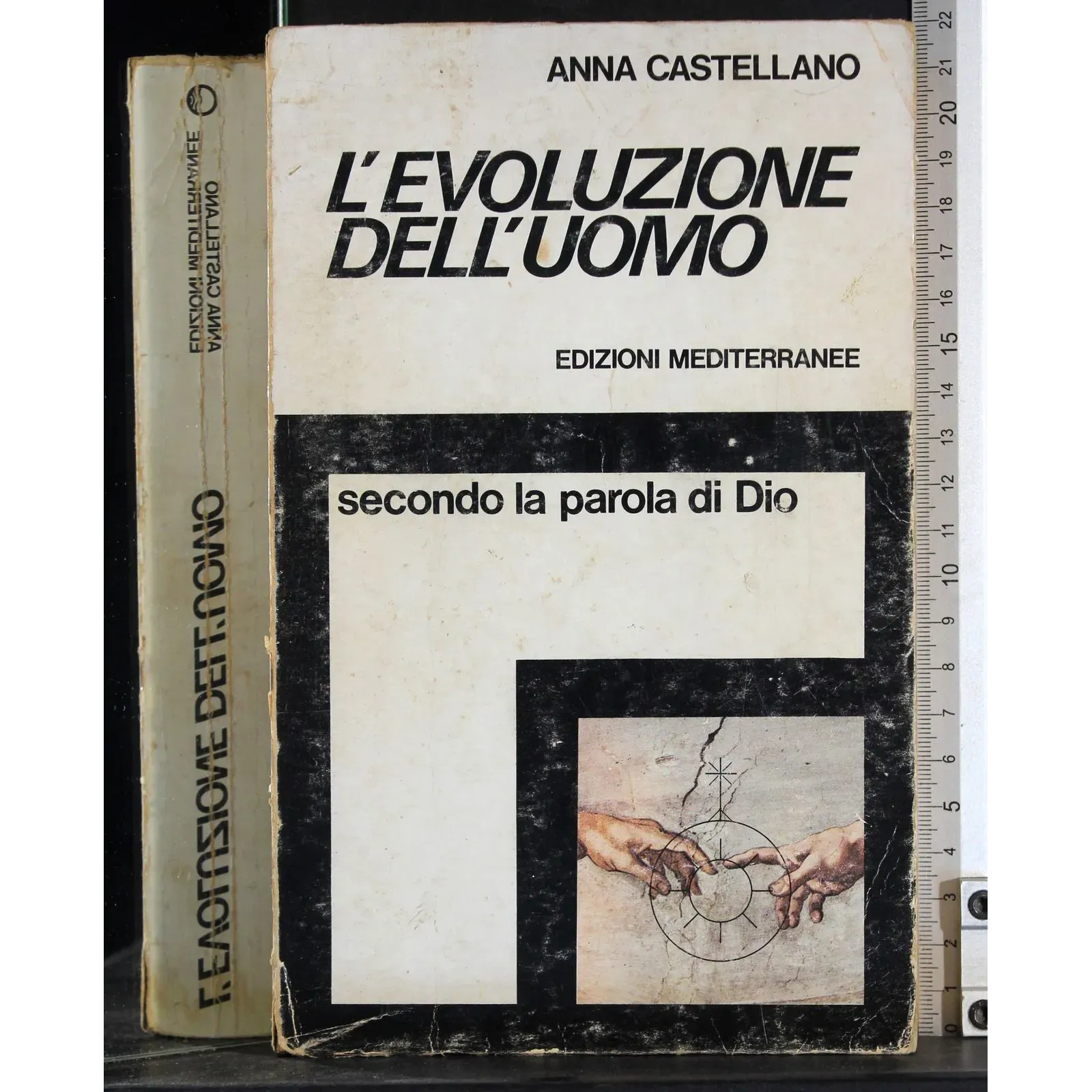 L'evoluzione dell'uomo