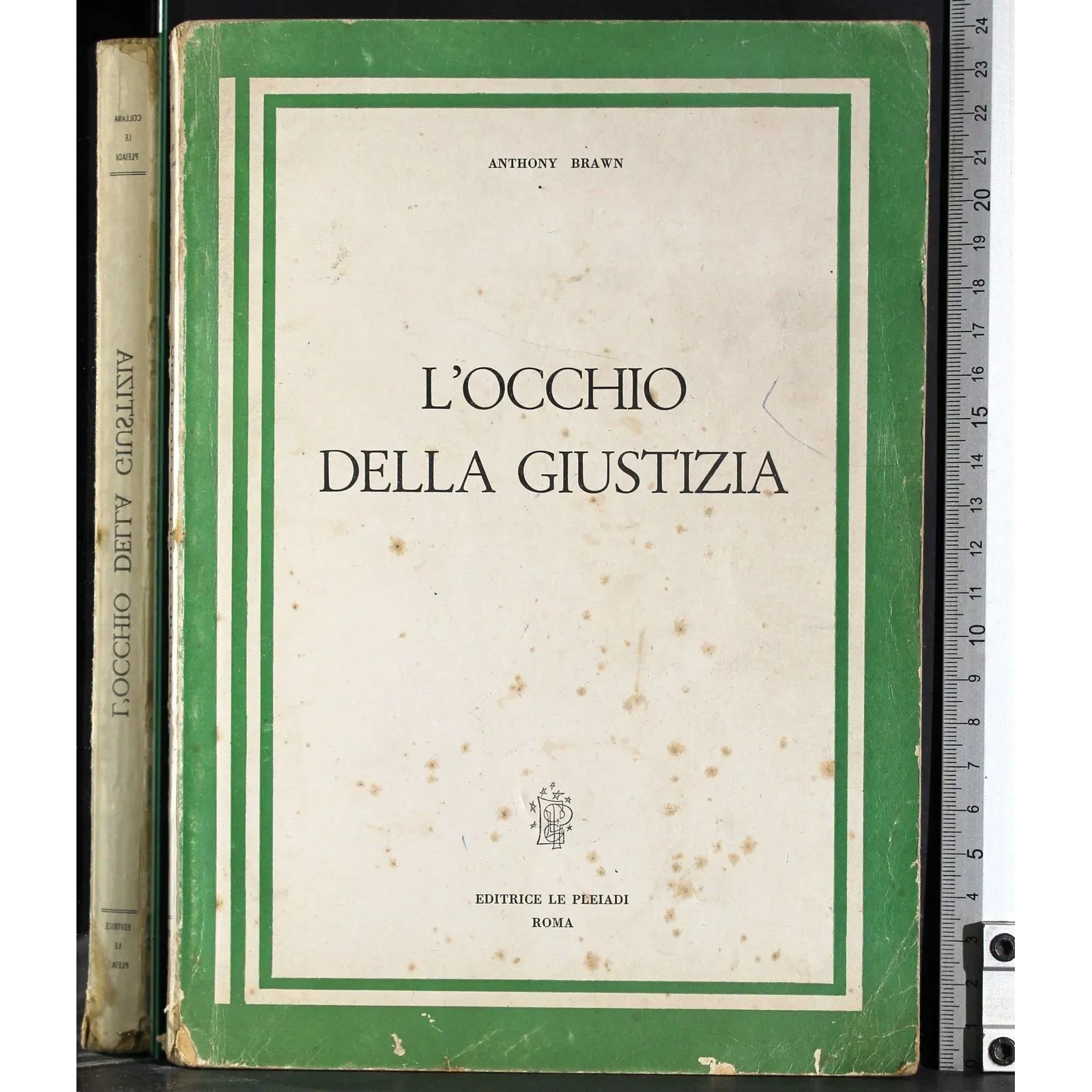 L'occhio della giustizia