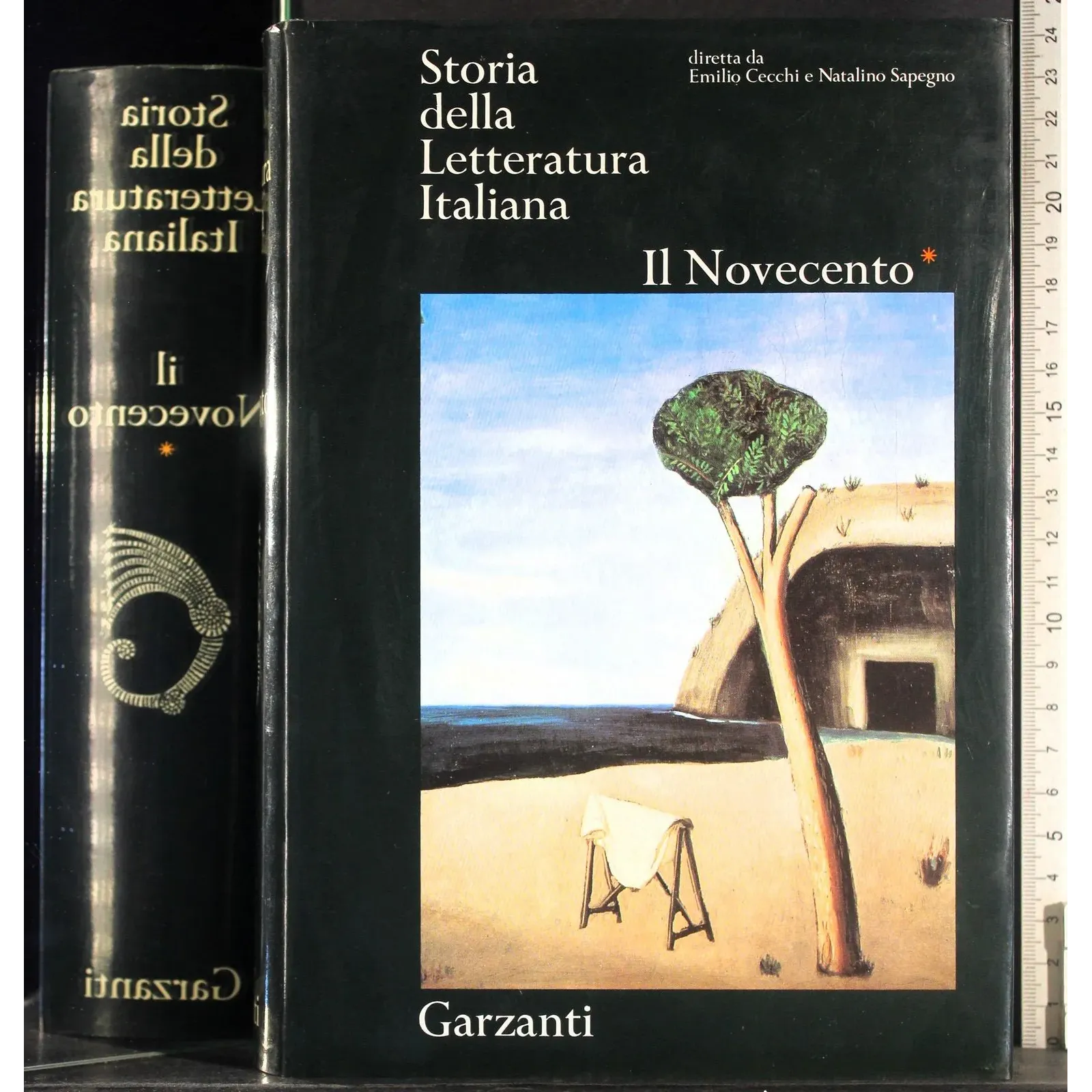 Storia della letteratura Italiana. Il Novecento 1