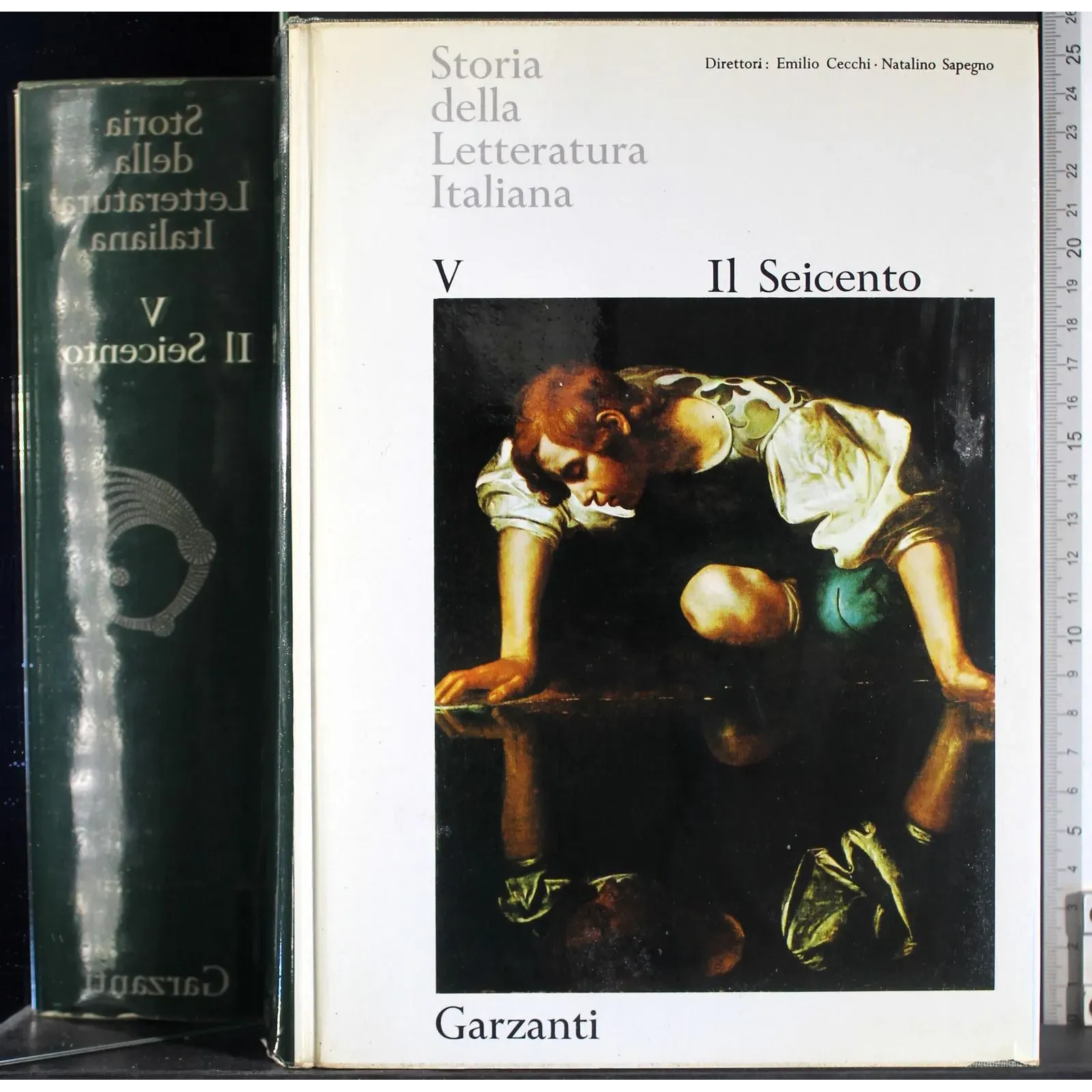 Storia della letteratura Italiana V. Il Seicento