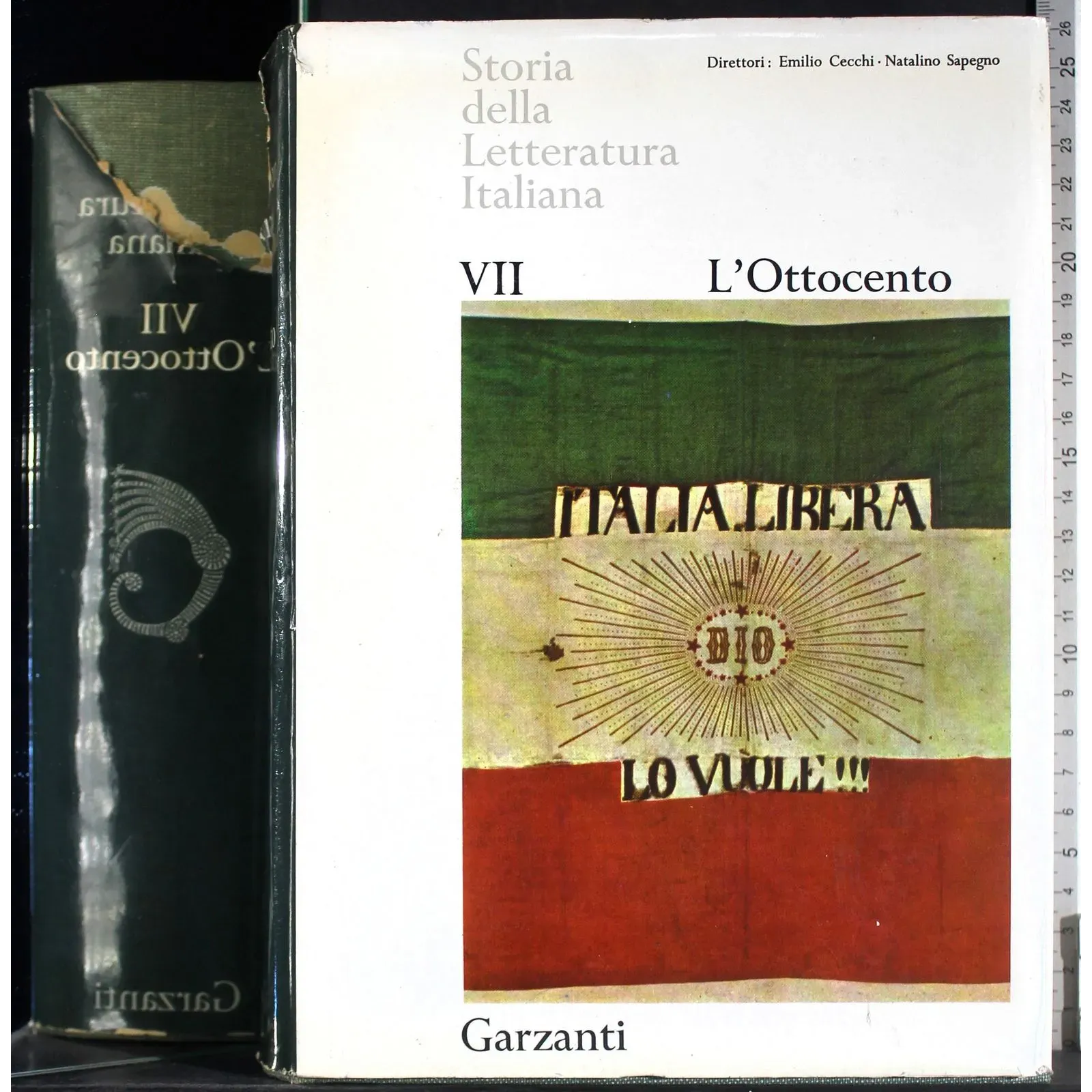 Storia della letteratura Italiana VII. L'Ottocento